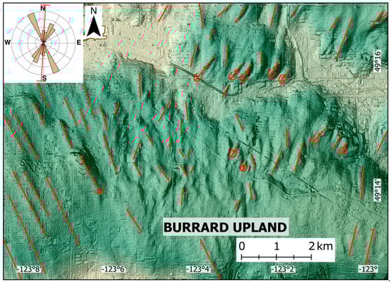 Quaternary 08 00013 g008