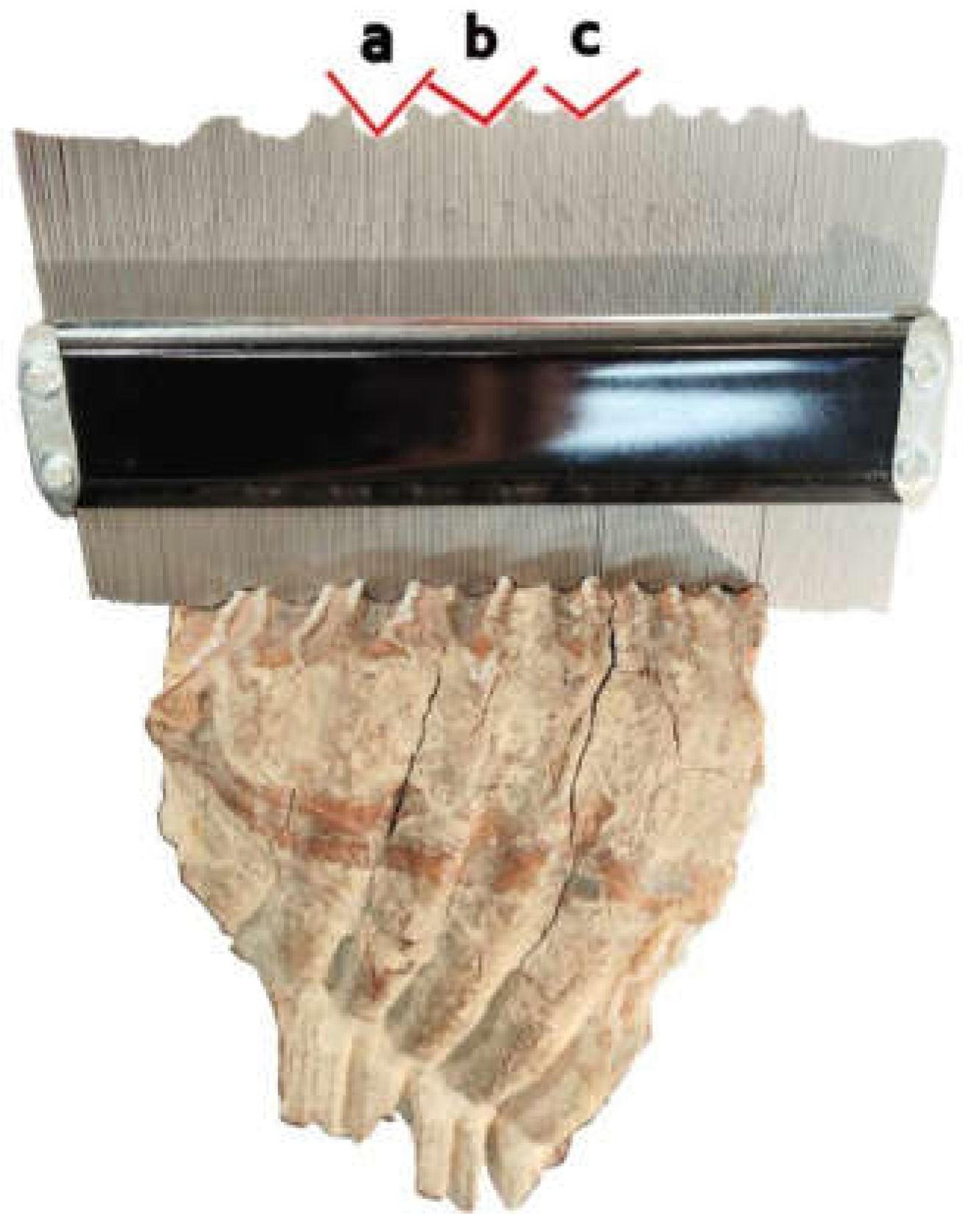 Quaternary 08 00019 g002