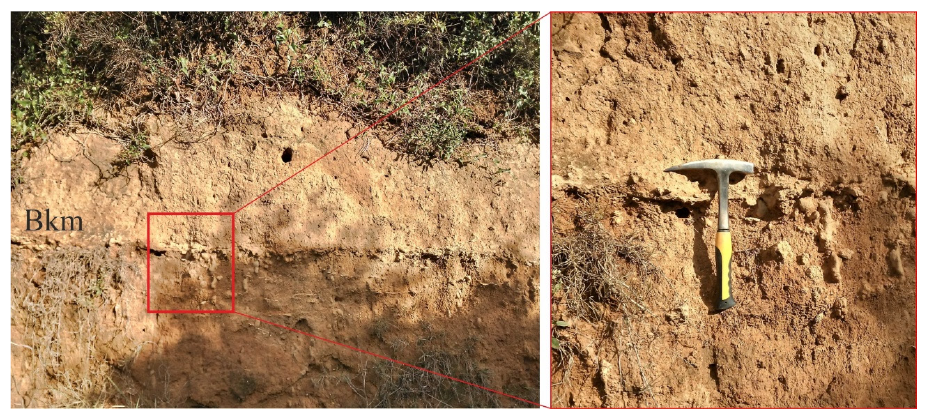 Quaternary 08 00025 g004