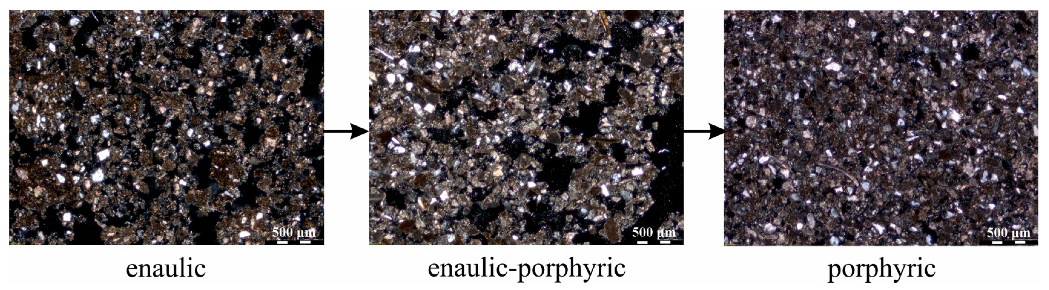 Quaternary 08 00025 g010