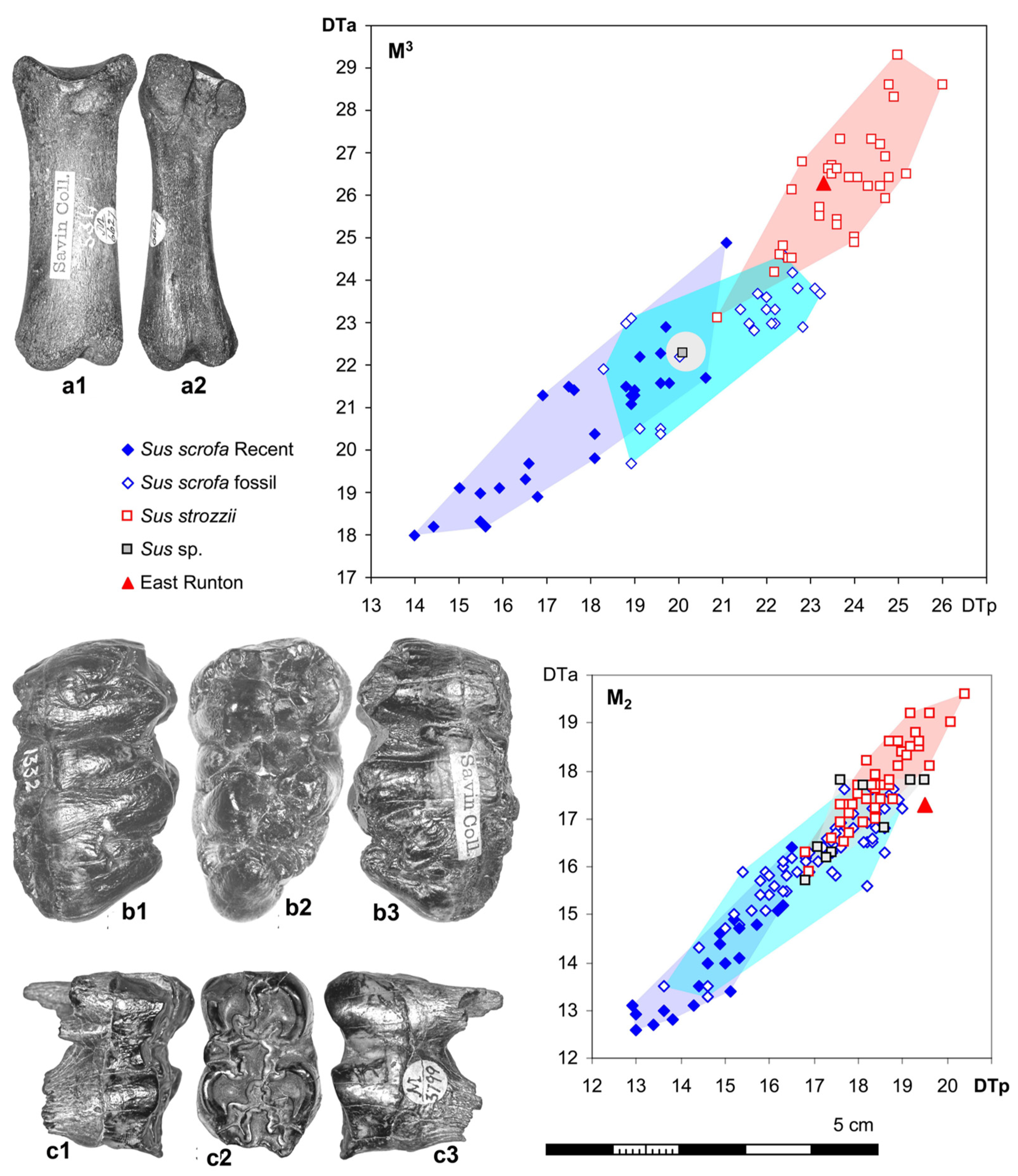 Quaternary 08 00026 g004 Quaternary 08 00026 g004
