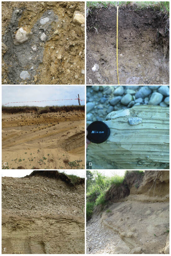 Quaternary 08 00029 g003