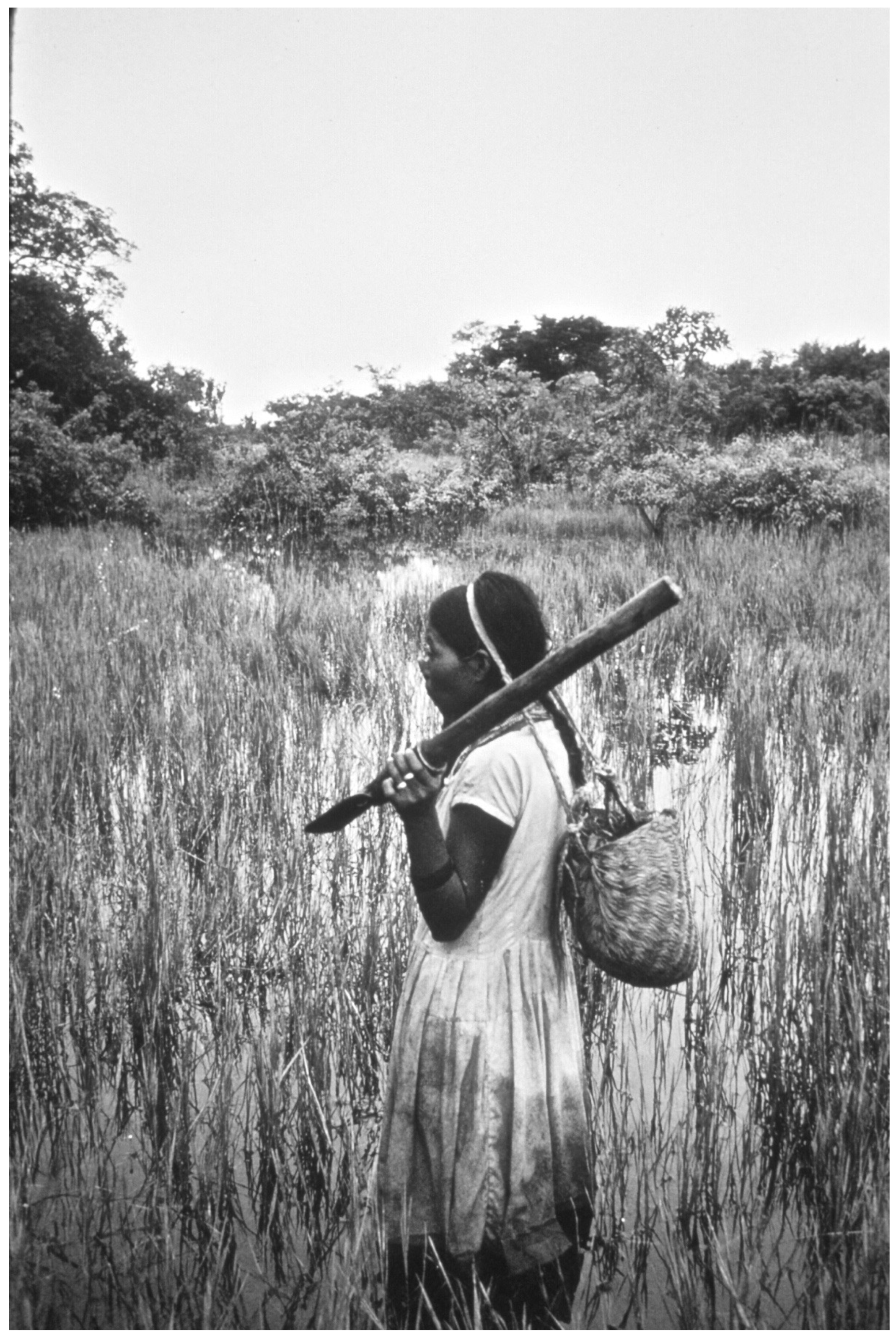 Quaternary 08 00034 g001