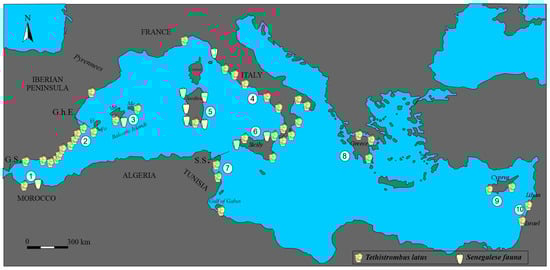 Quaternary 08 00038 g013