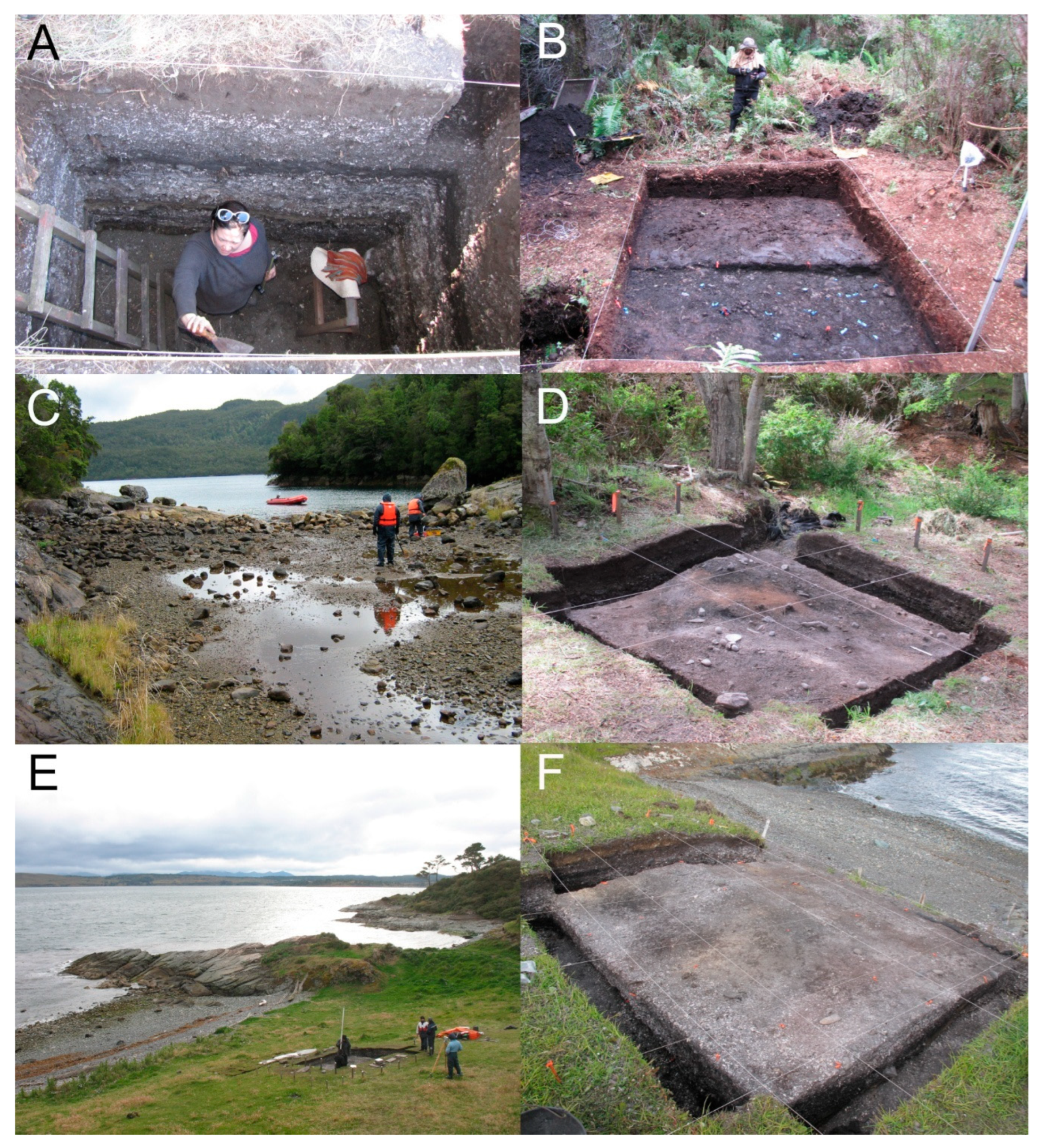 Quaternary 08 00039 g004