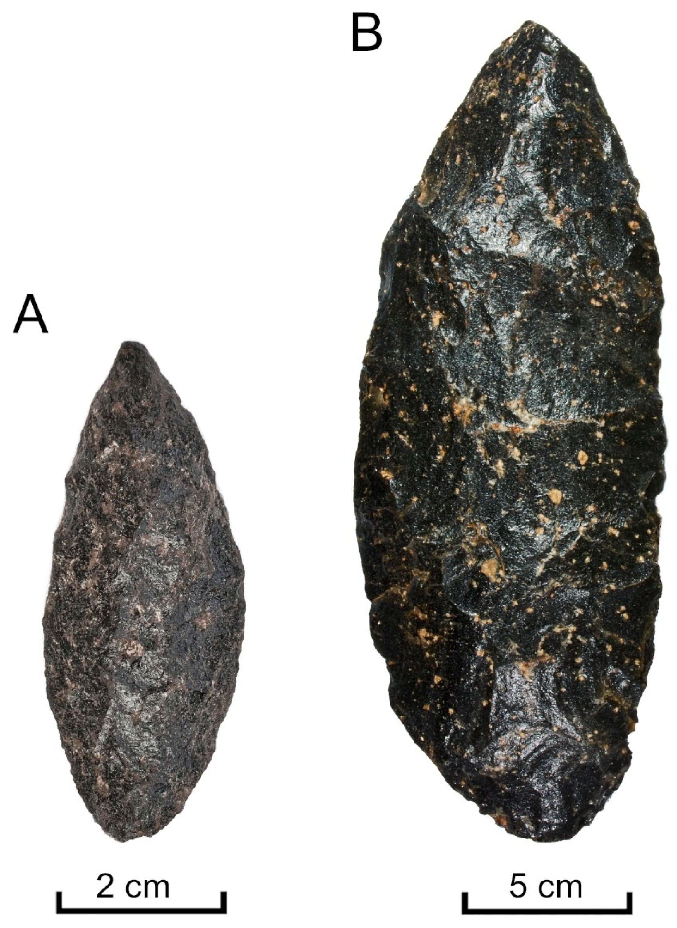 Quaternary 08 00039 g005