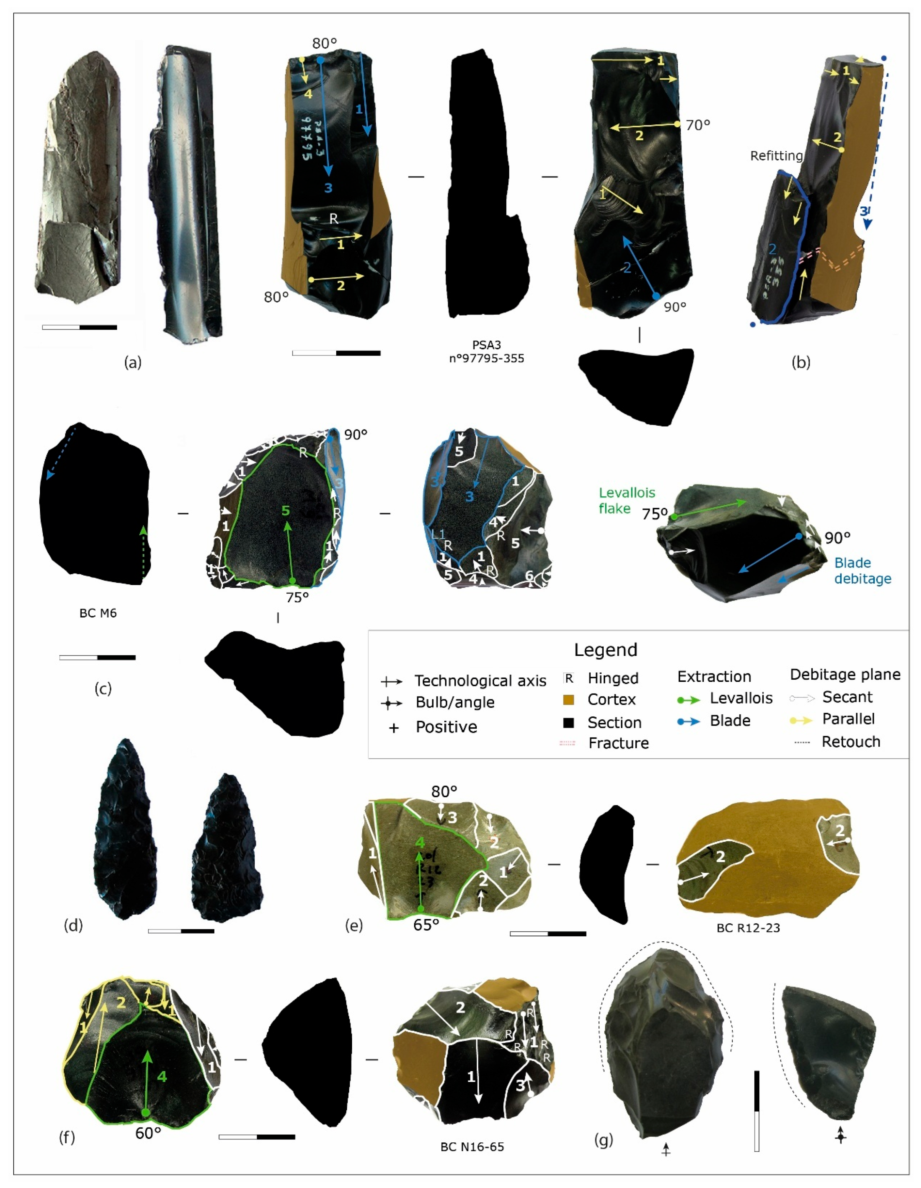 Quaternary 08 00039 g006