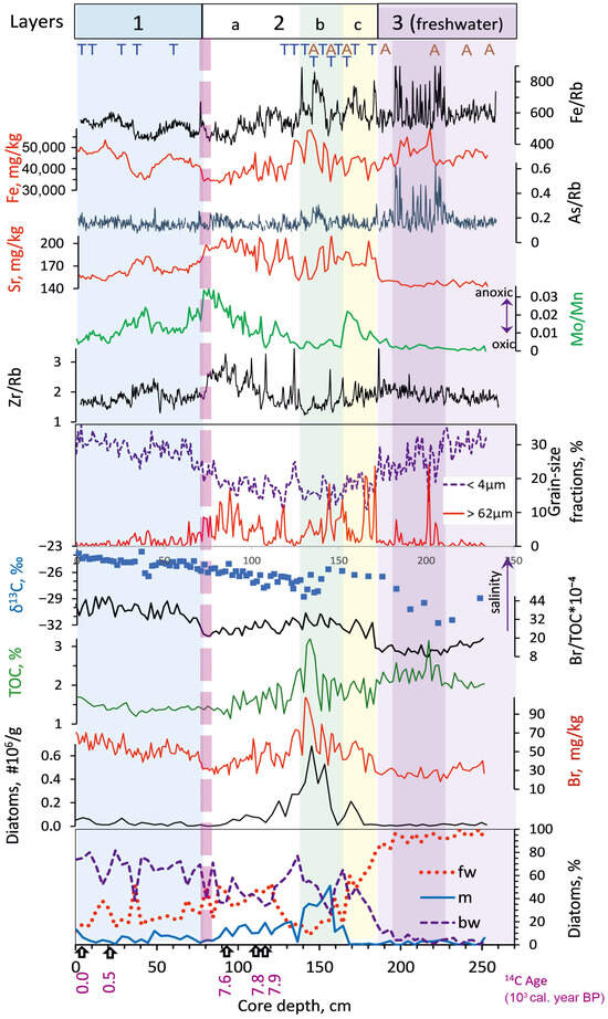 Quaternary 08 00040 g002