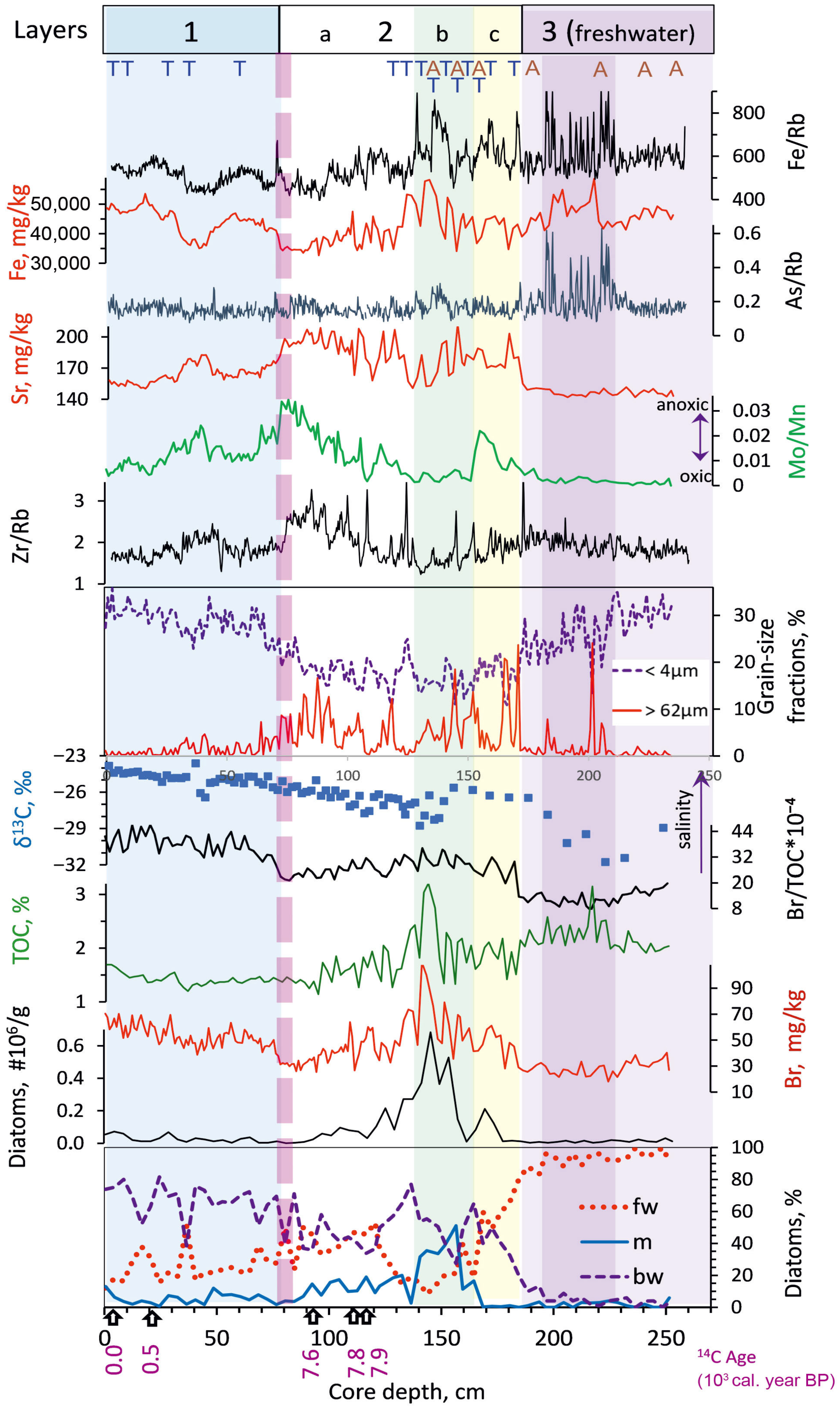 Quaternary 08 00040 g002