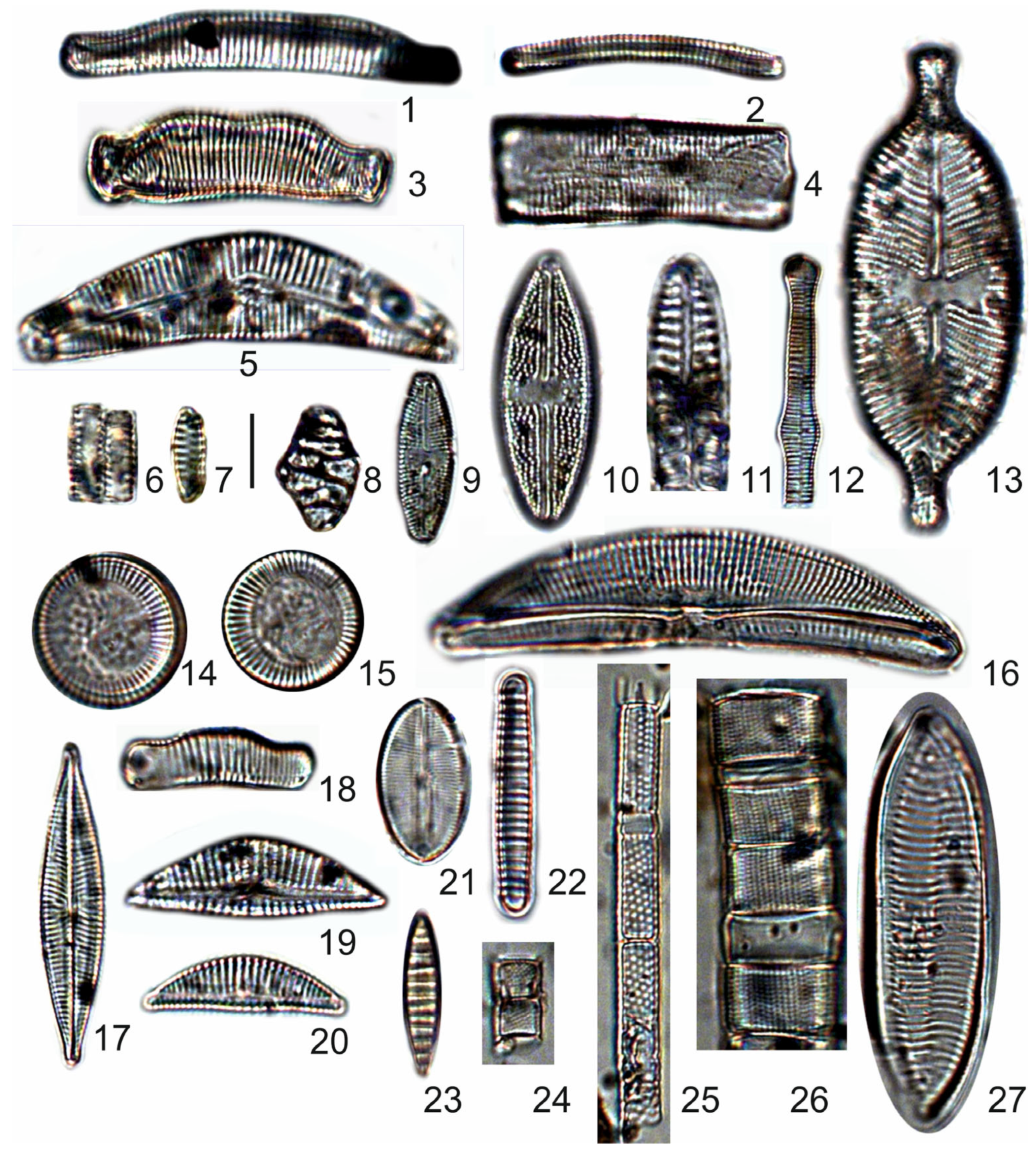 Quaternary 08 00040 g004
