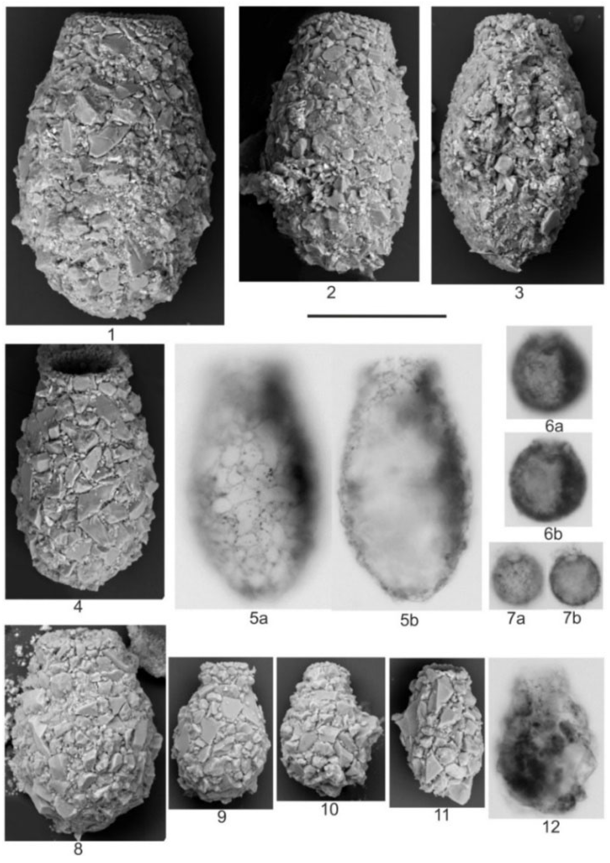 Quaternary 08 00040 g006