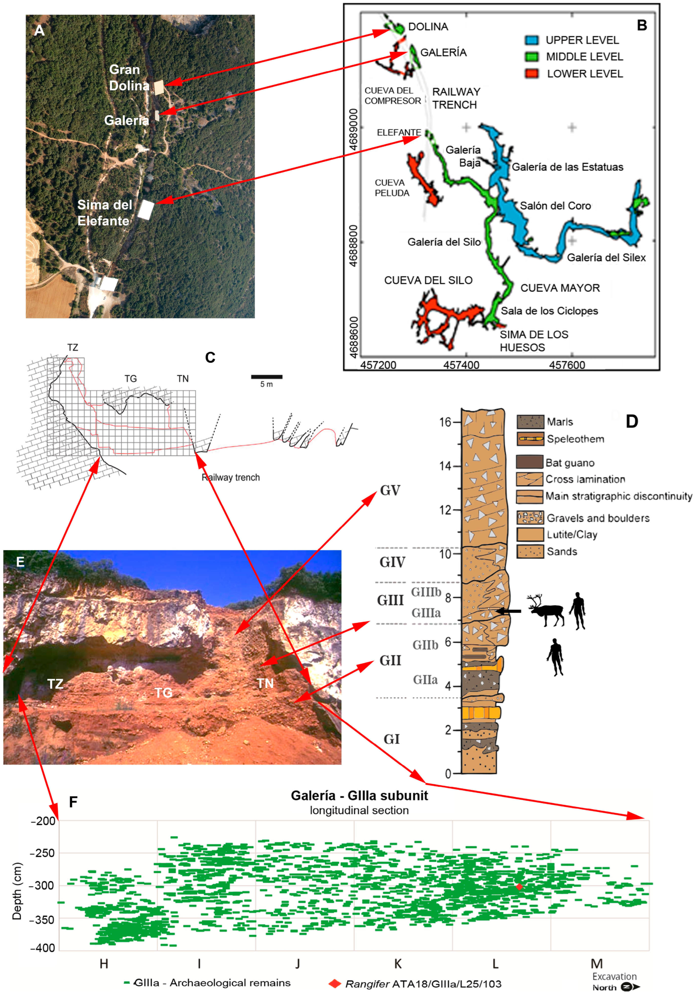 Quaternary 08 00043 g002