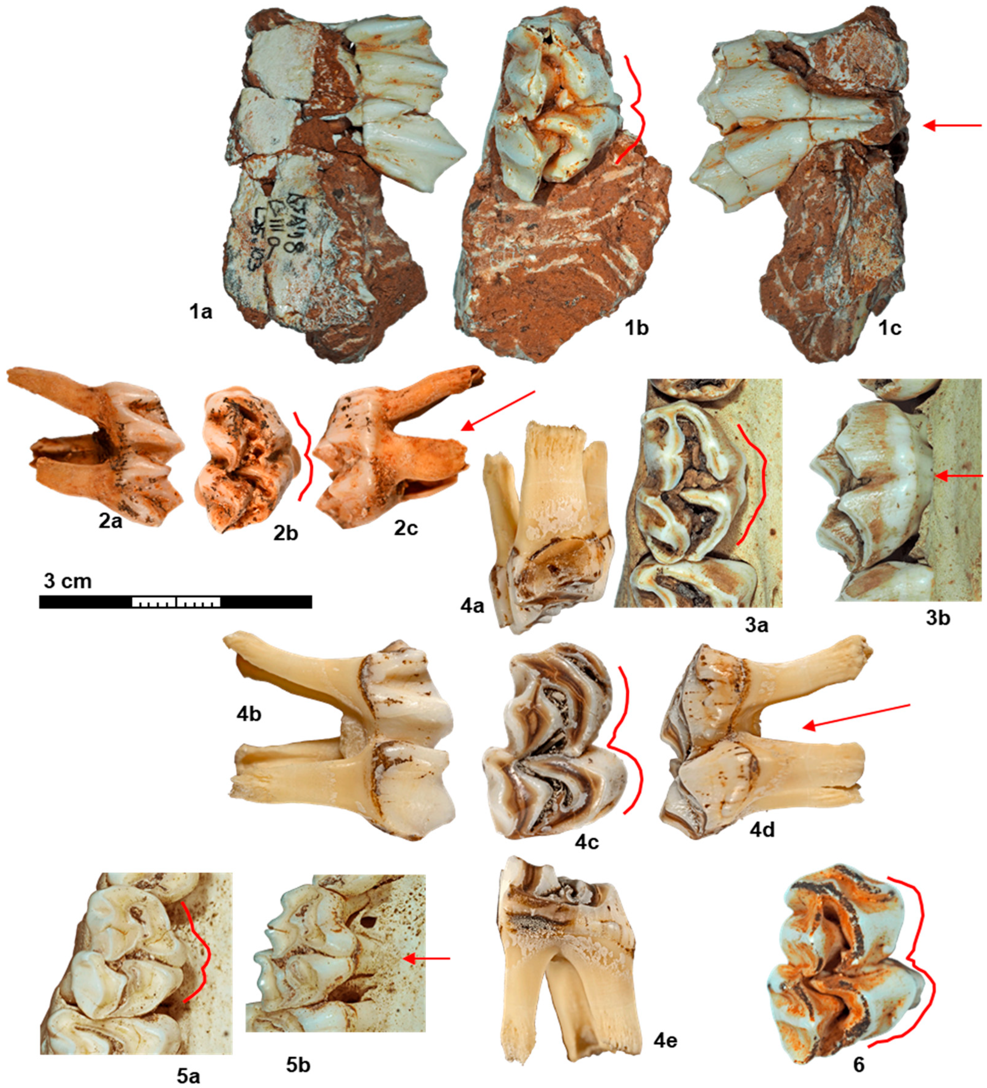 Quaternary 08 00043 g003