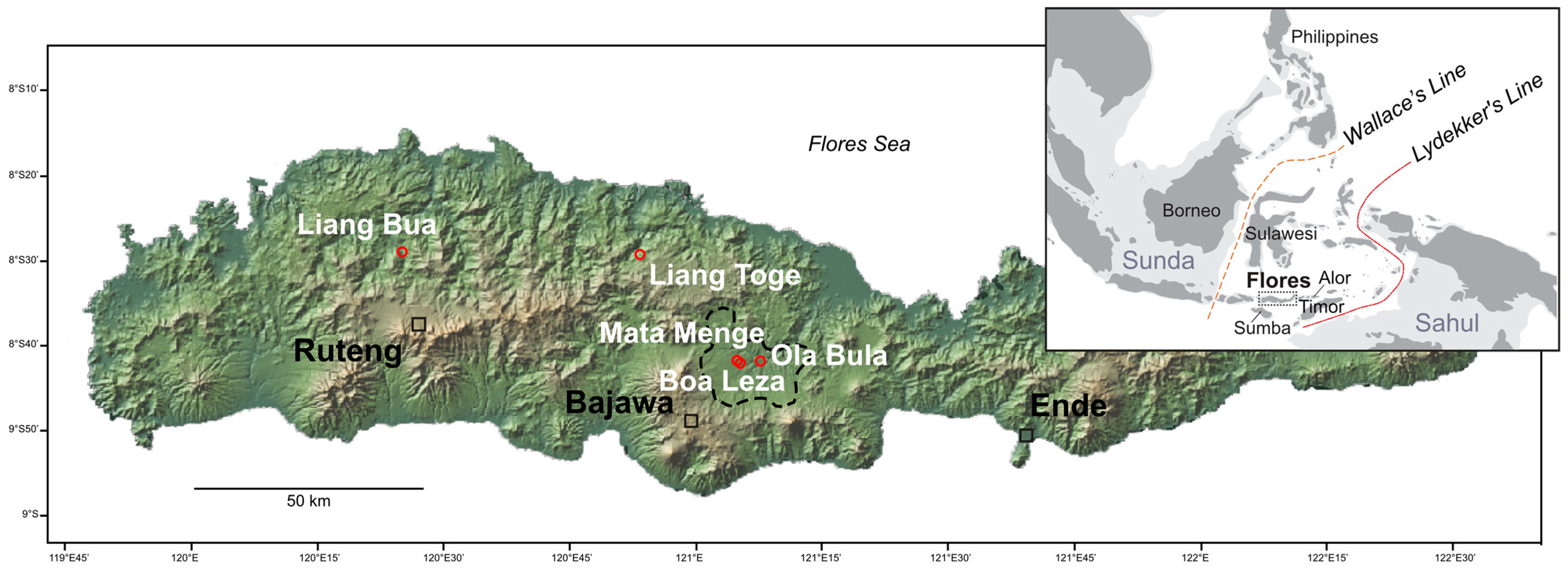 Quaternary 08 00044 g001