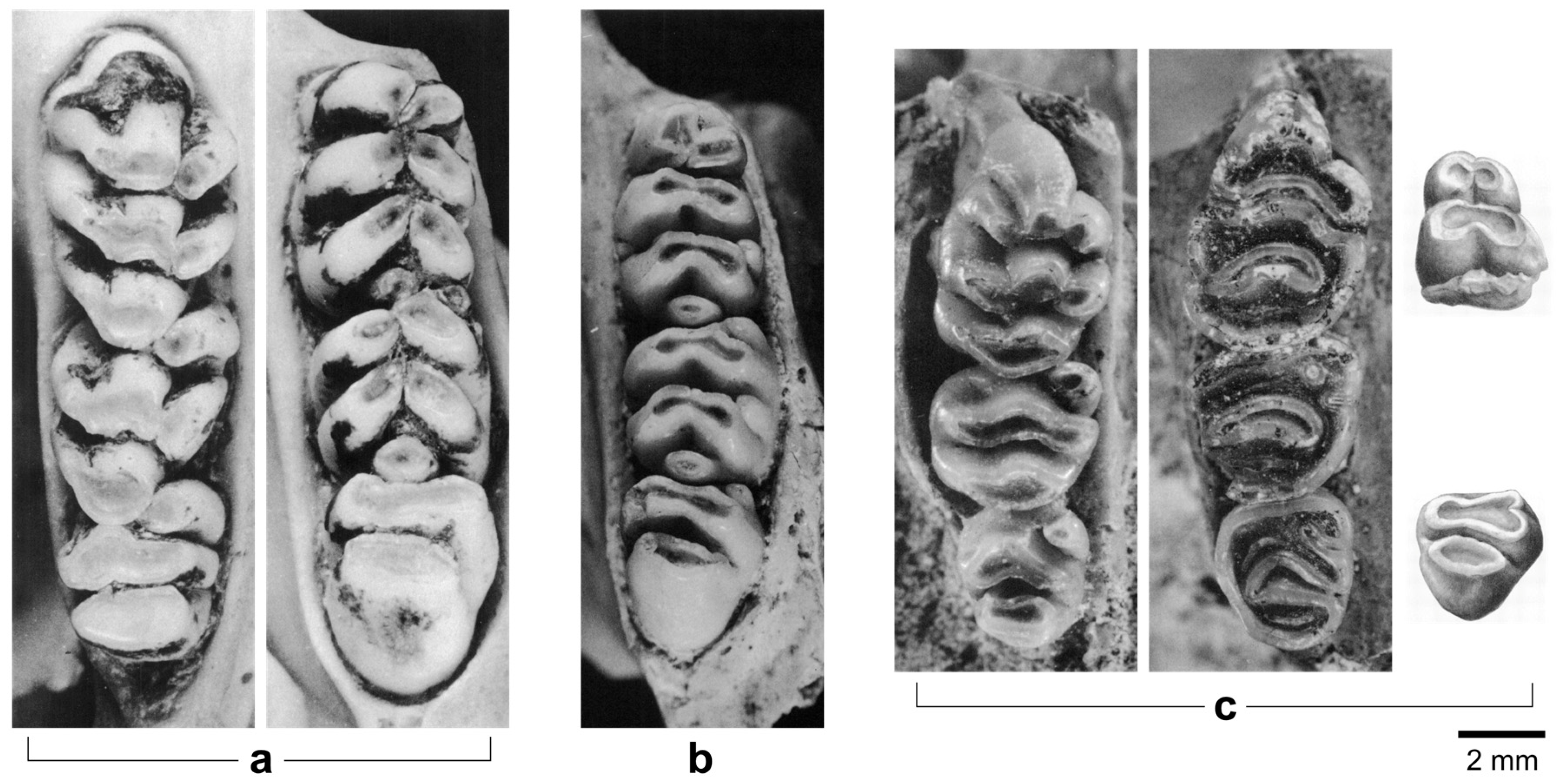 Quaternary 08 00044 g002