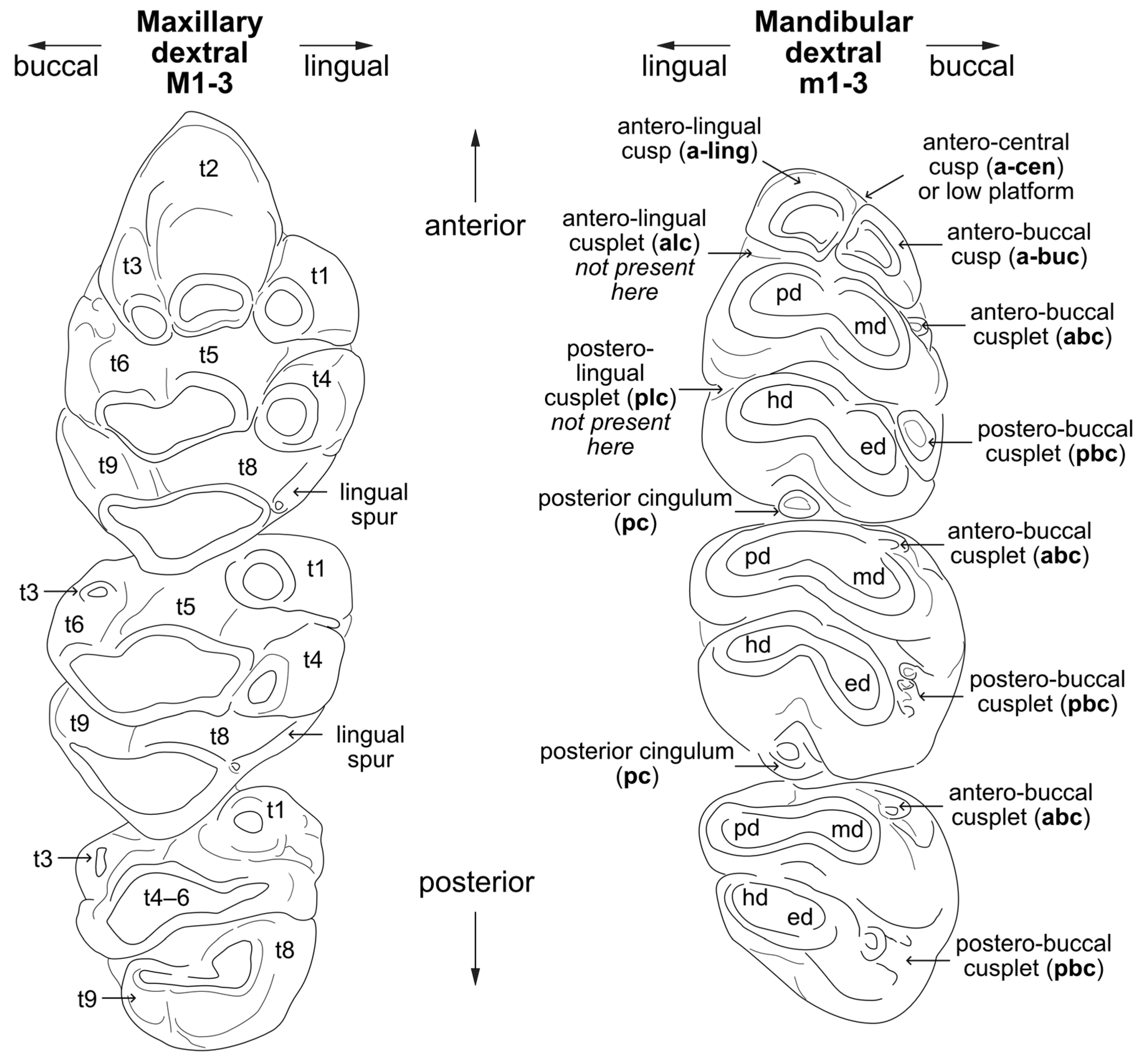 Quaternary 08 00044 g004