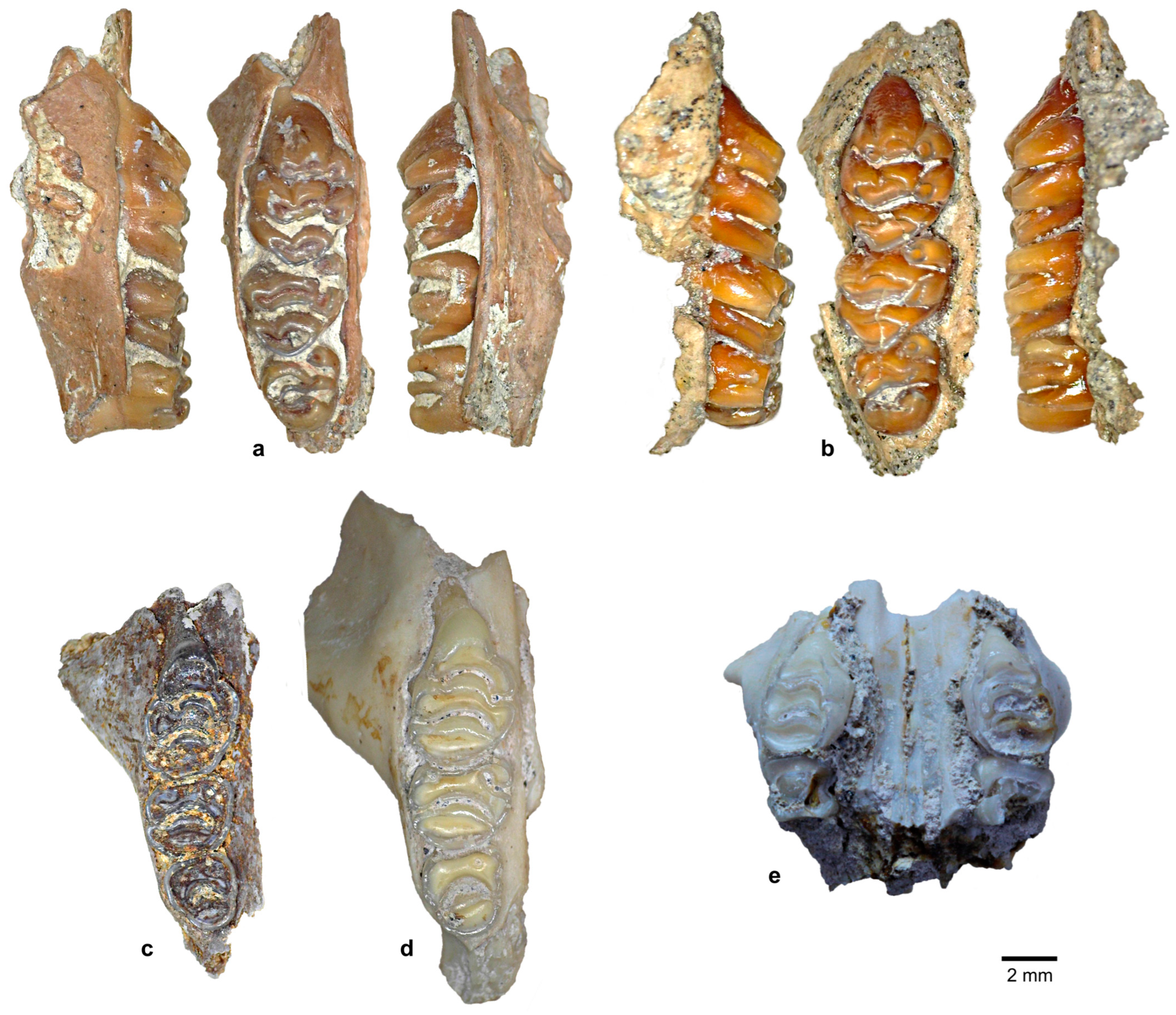 Quaternary 08 00044 g008