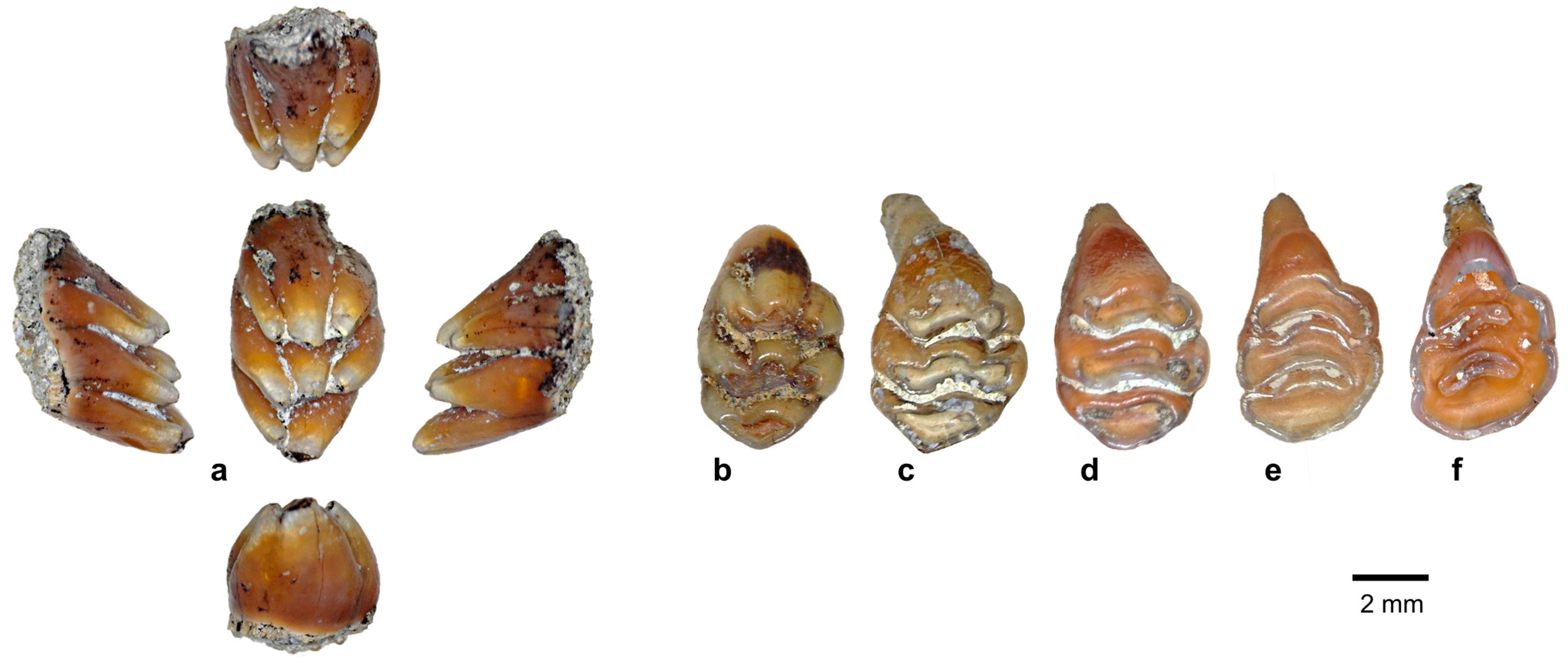 Quaternary 08 00044 g009