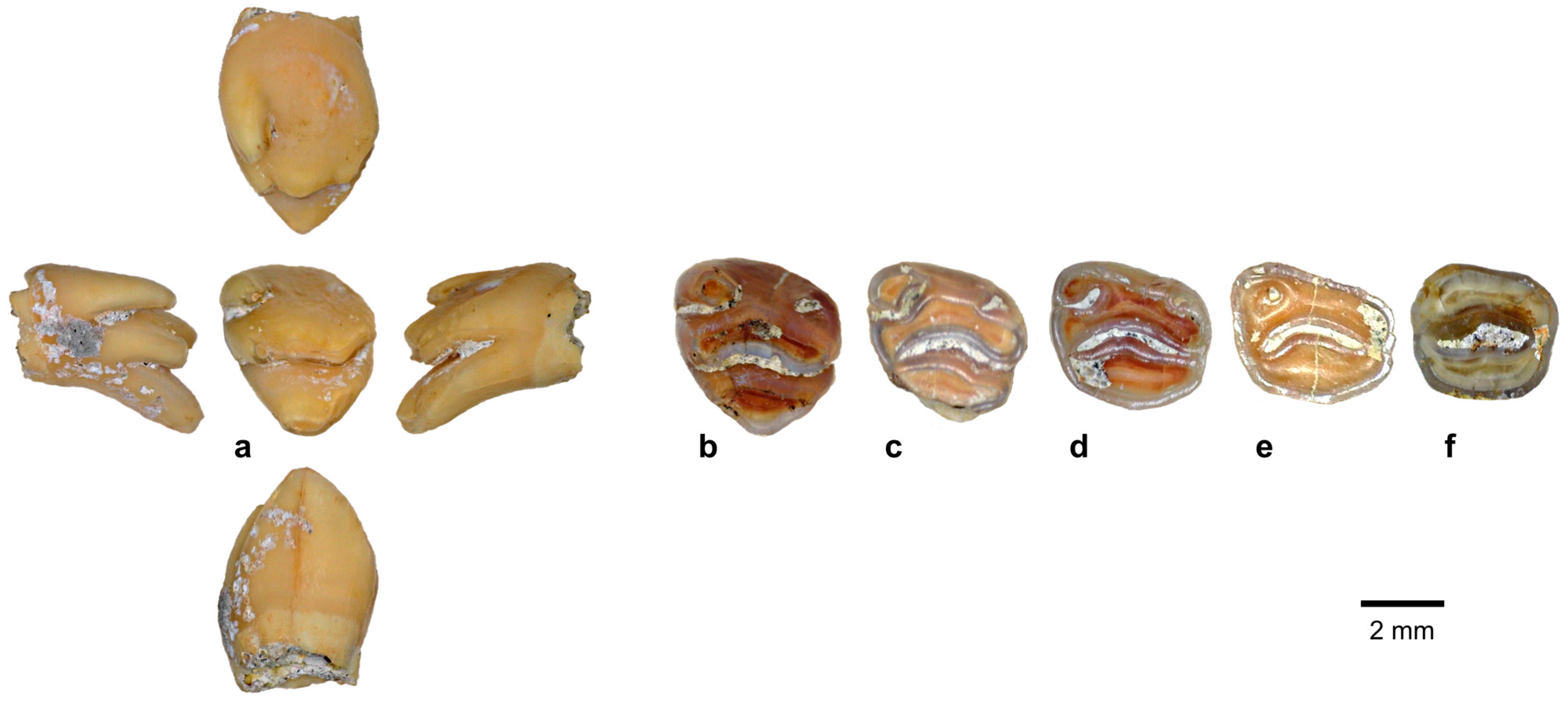 Quaternary 08 00044 g010