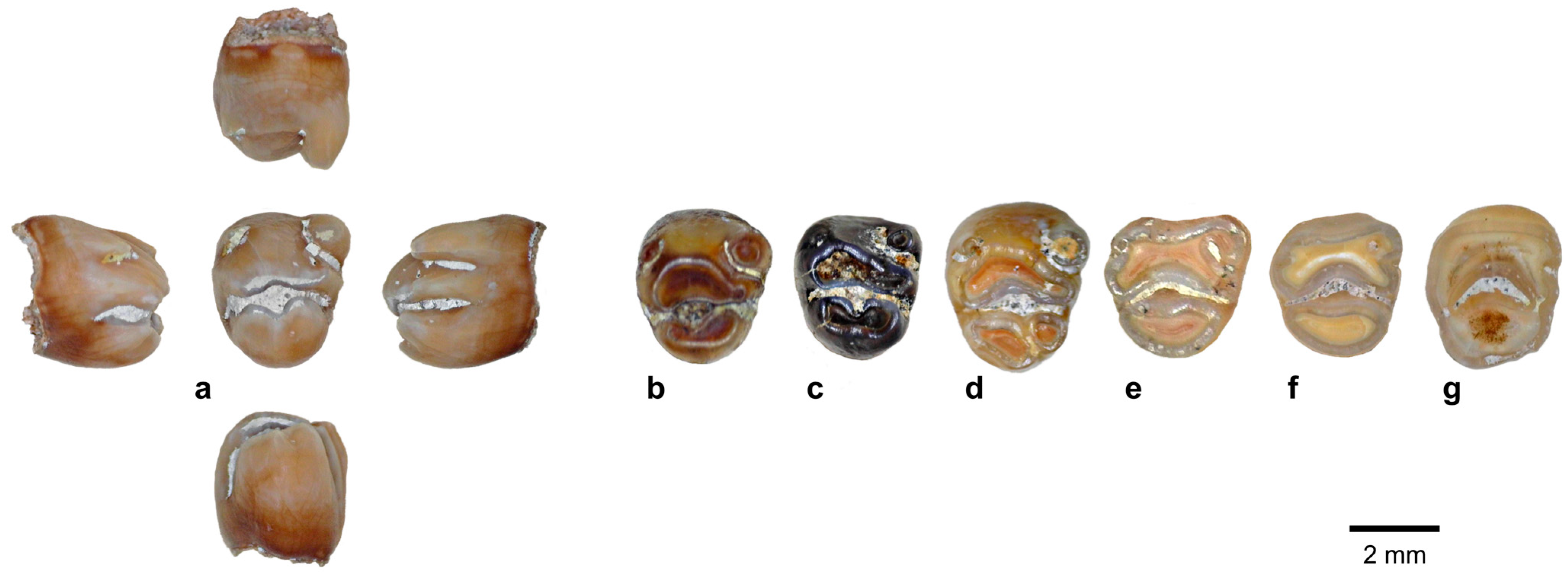 Quaternary 08 00044 g011