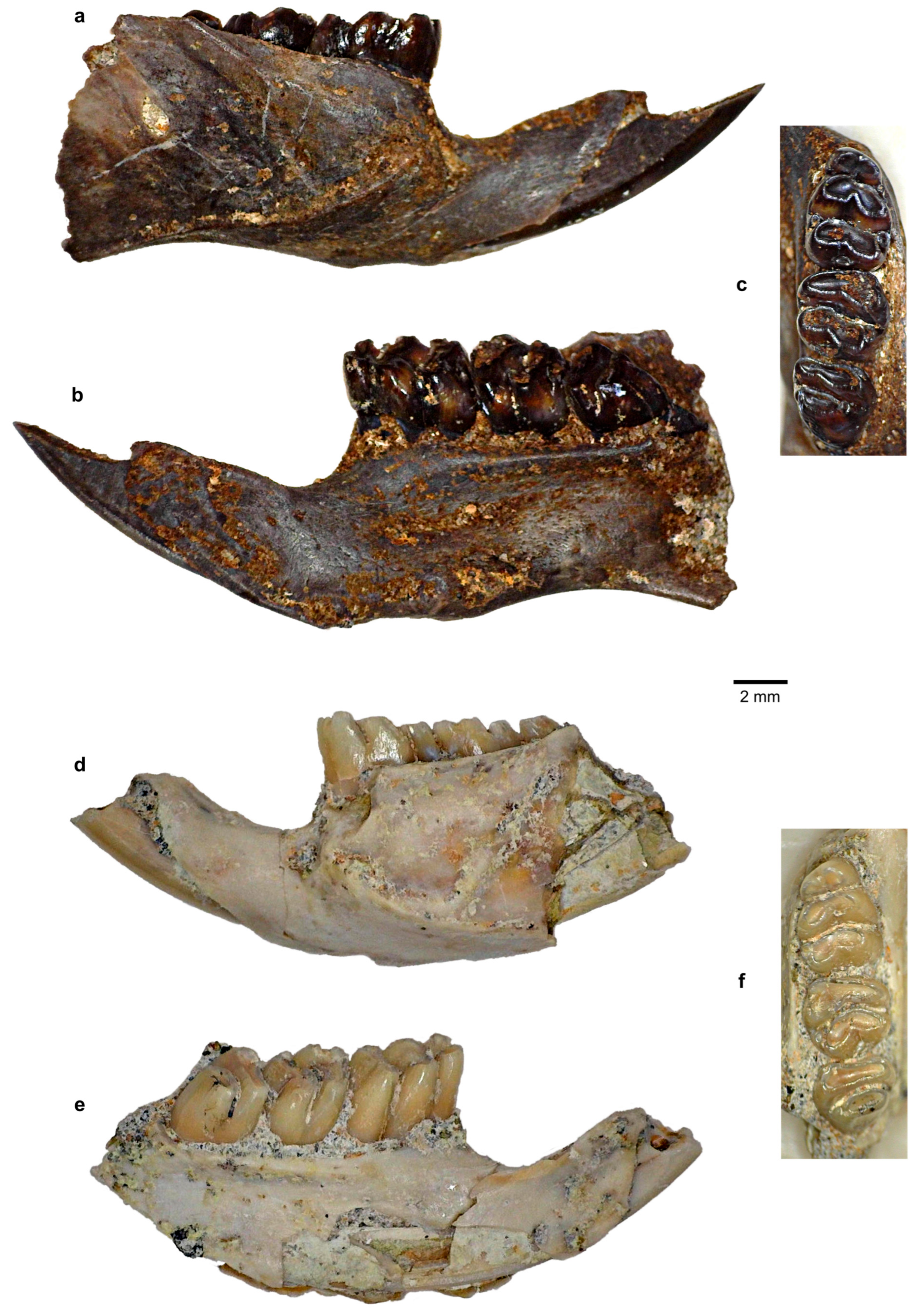 Quaternary 08 00044 g012