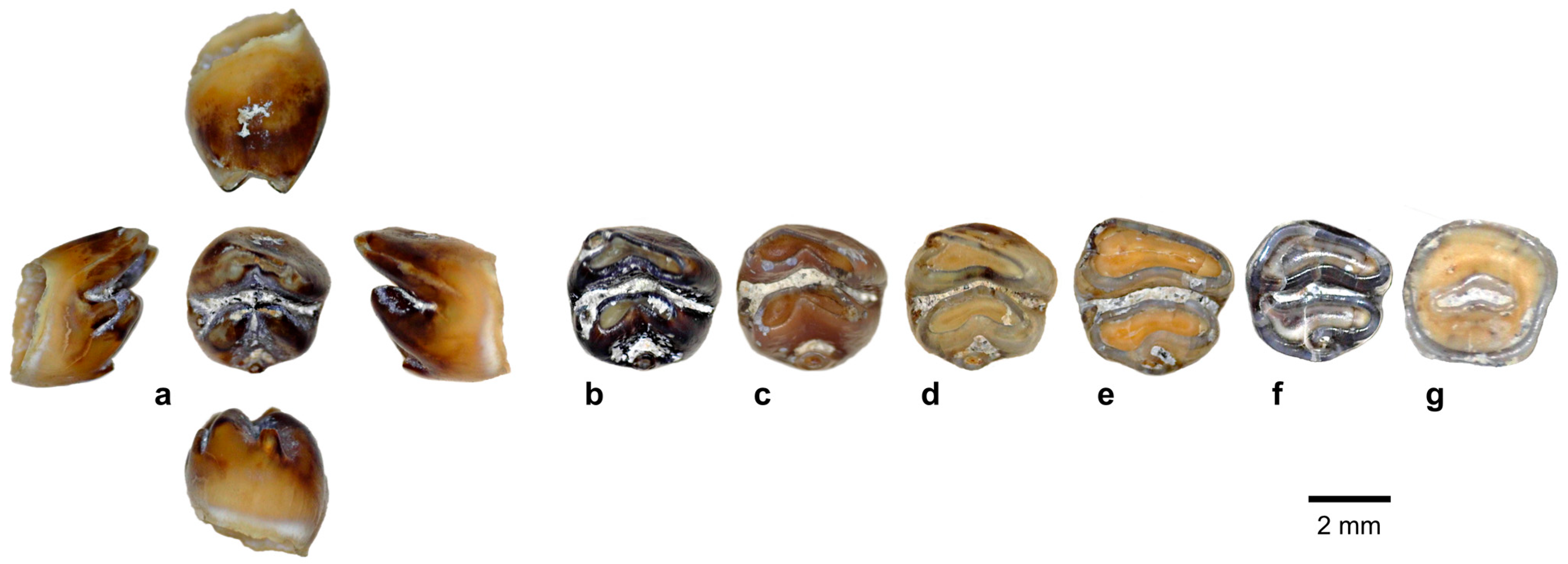 Quaternary 08 00044 g014