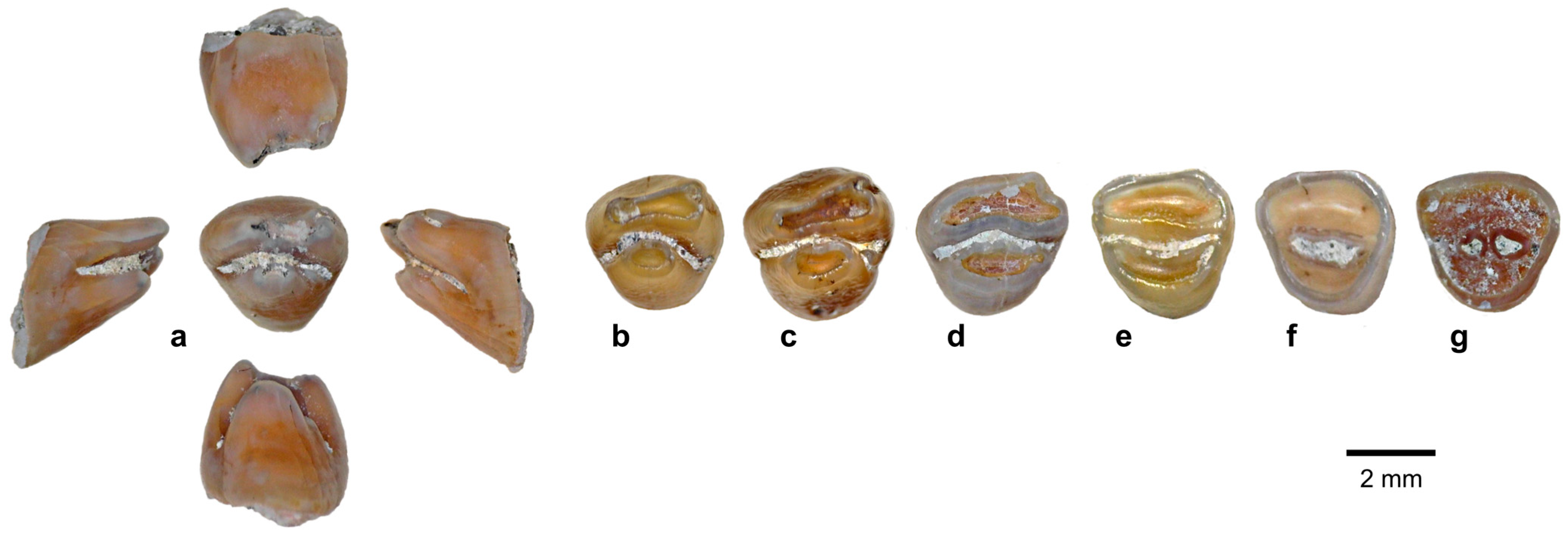 Quaternary 08 00044 g015