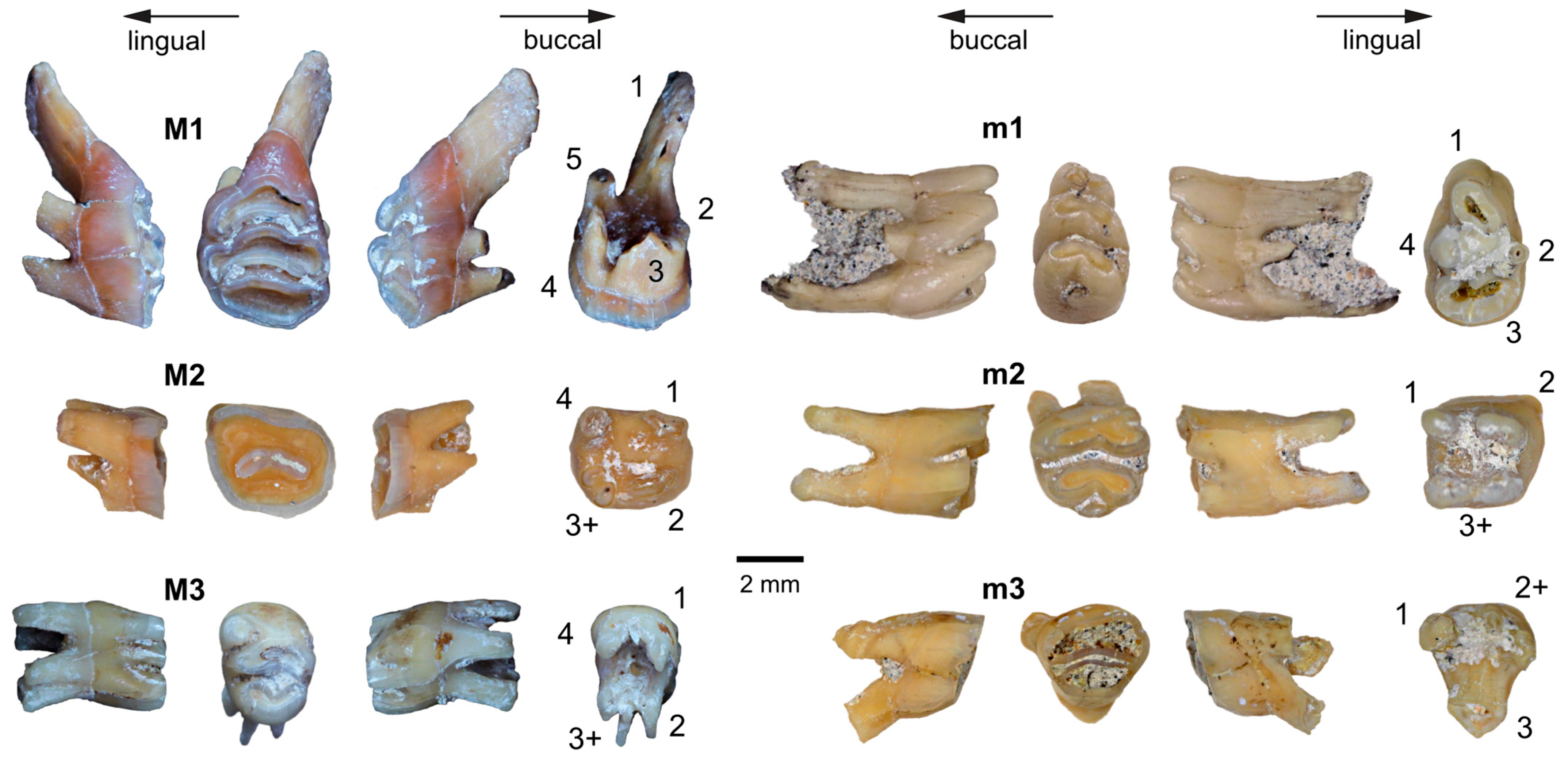 Quaternary 08 00044 g016