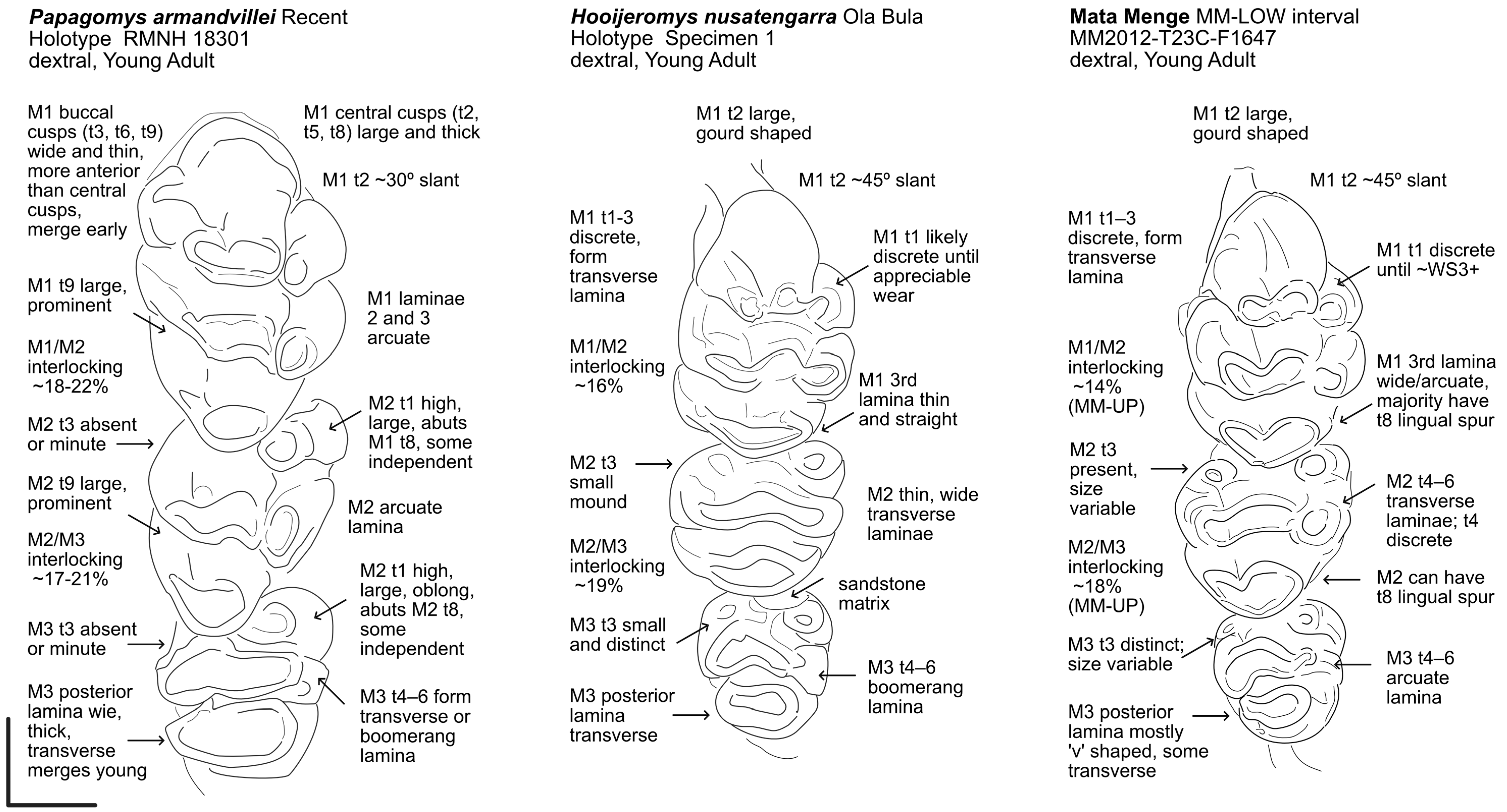 Quaternary 08 00044 g019