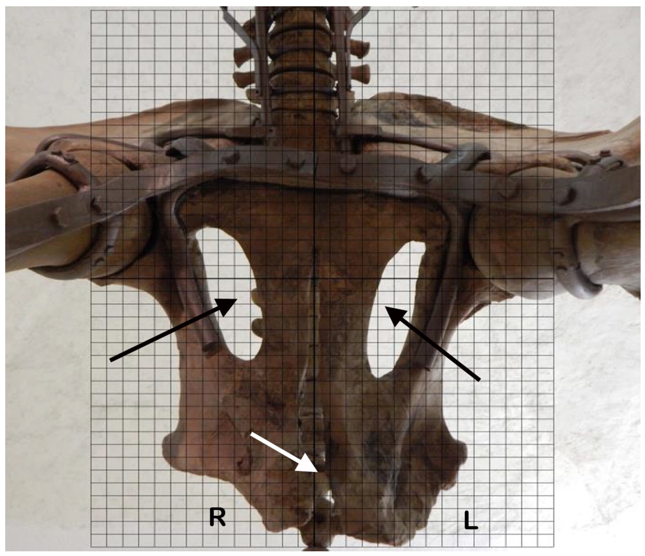 Quaternary 08 00046 g011