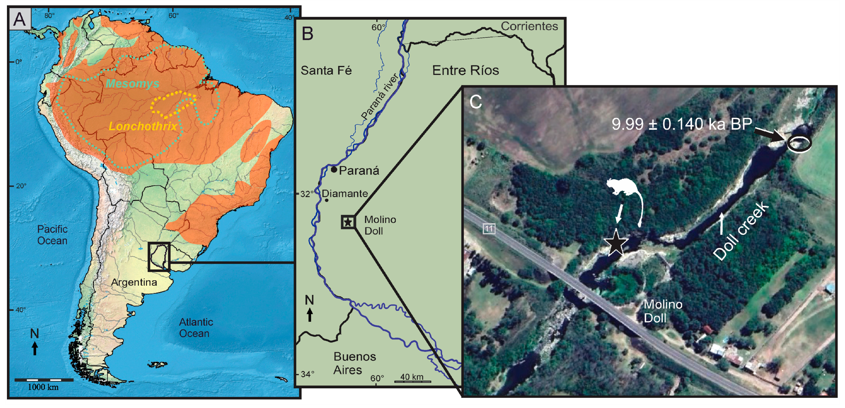 Quaternary 08 00048 g001