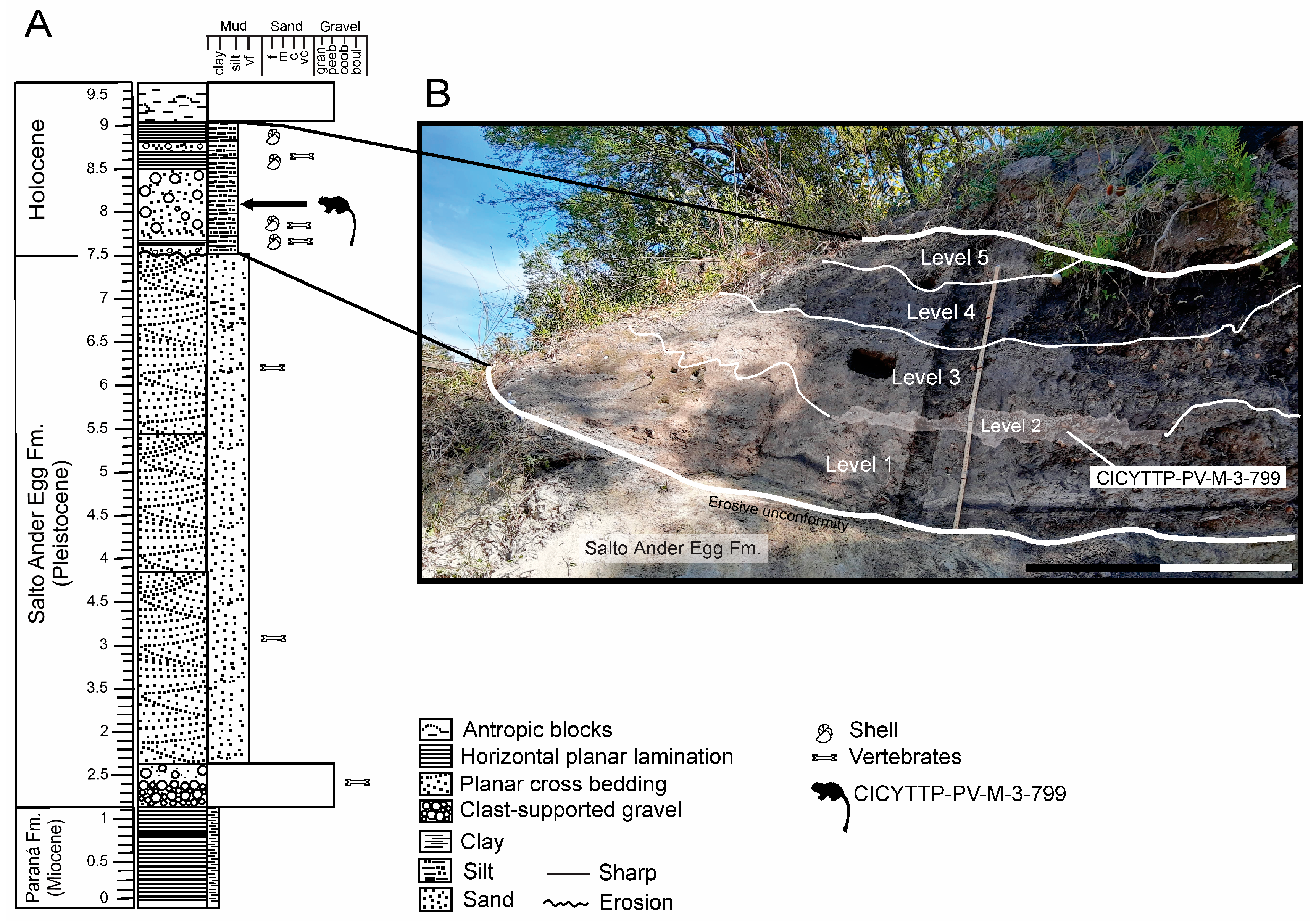 Quaternary 08 00048 g002