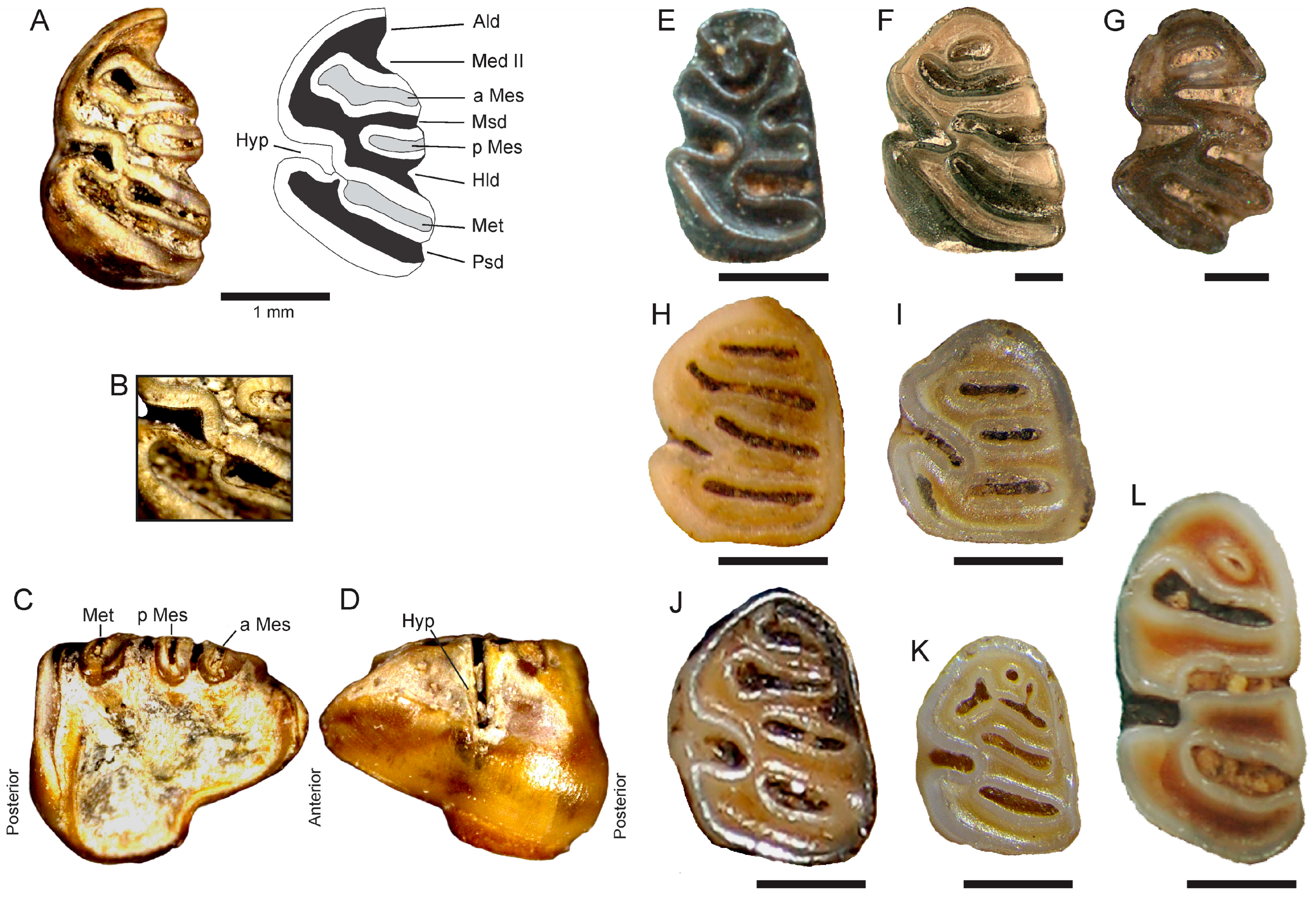 Quaternary 08 00048 g003