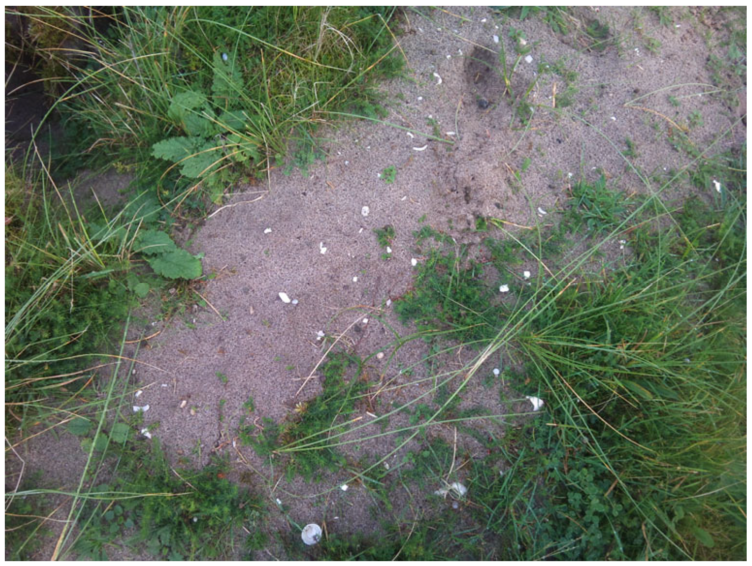 Quaternary 08 00049 g001