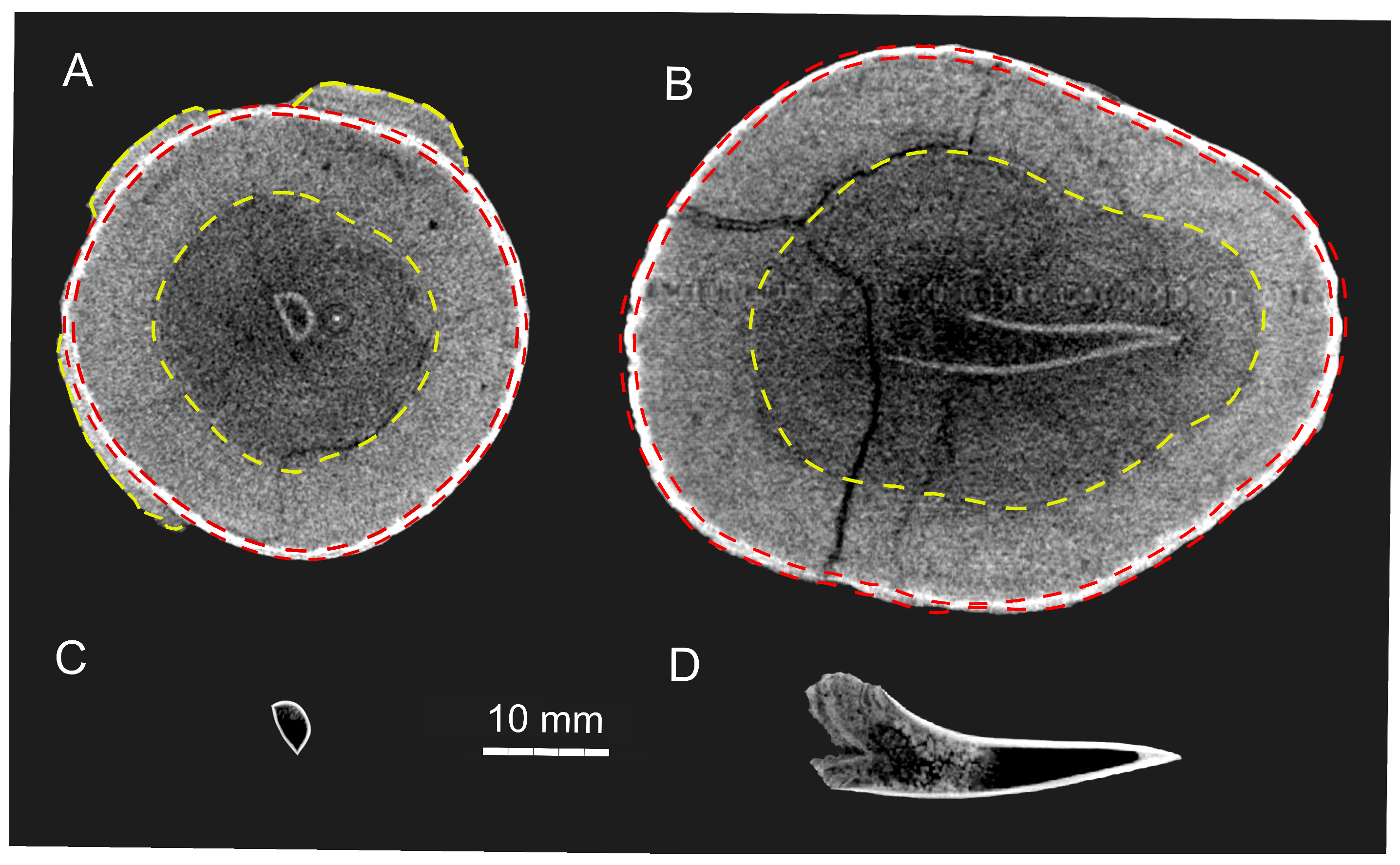 Quaternary 08 00056 g002