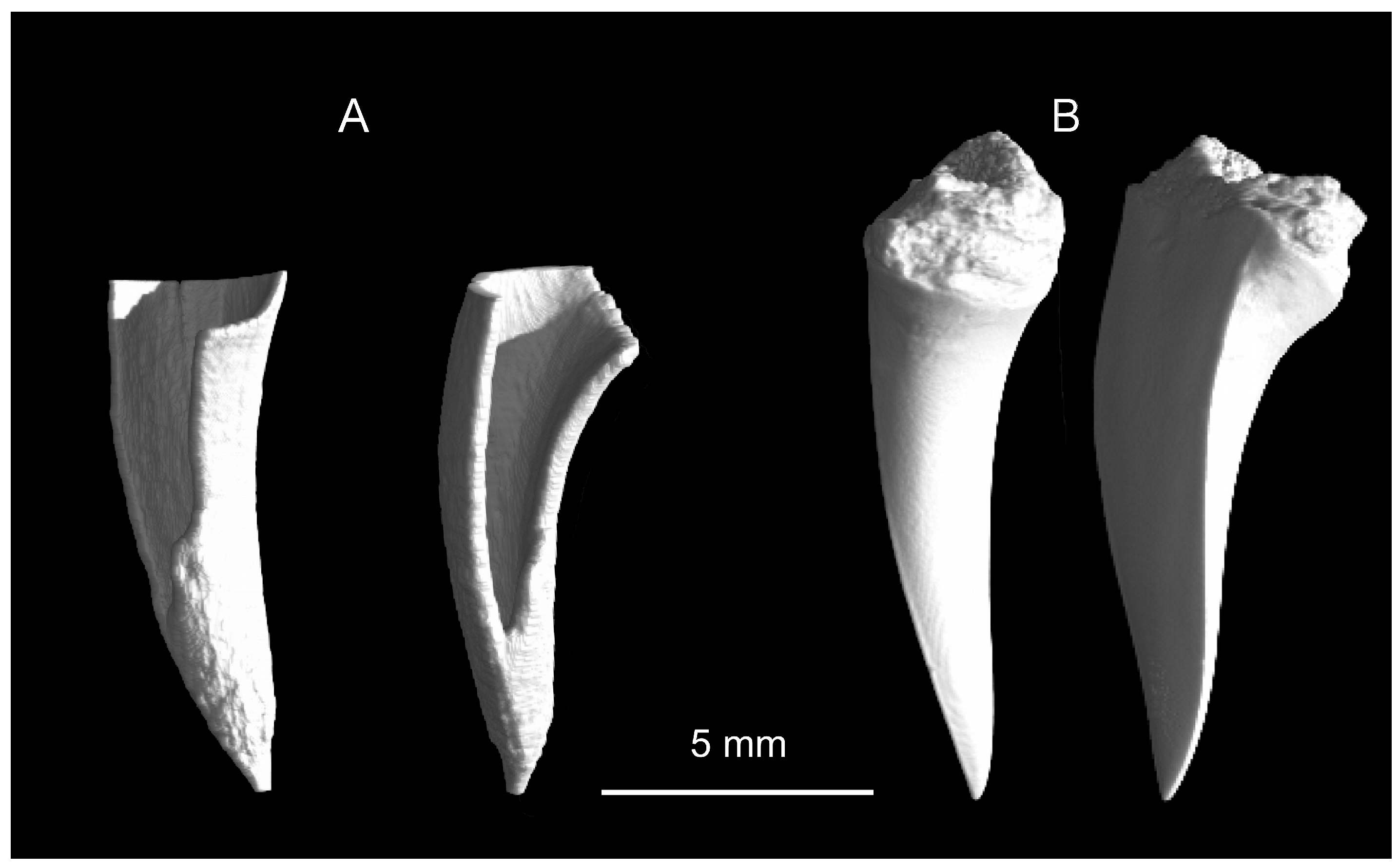 Quaternary 08 00056 g003