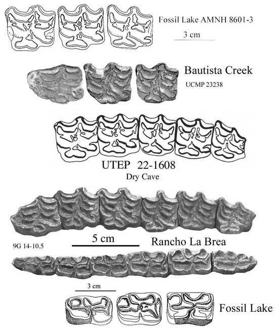 Quaternary 08 00068 g031