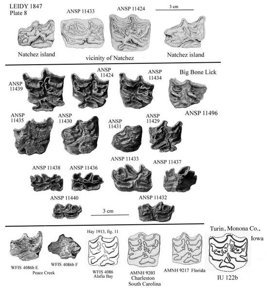 Quaternary 08 00068 g032