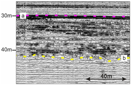 Quaternary 08 00074 i002
