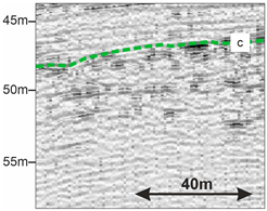 Quaternary 08 00074 i004