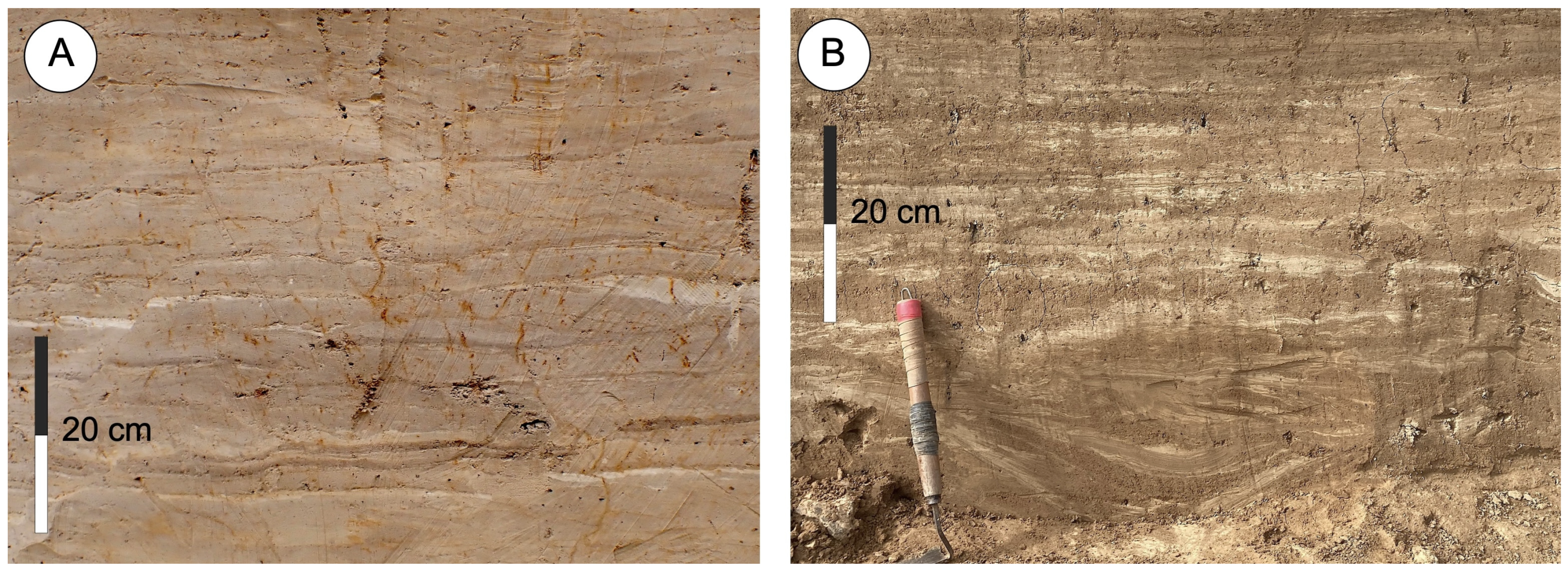 Quaternary 08 00075 g014