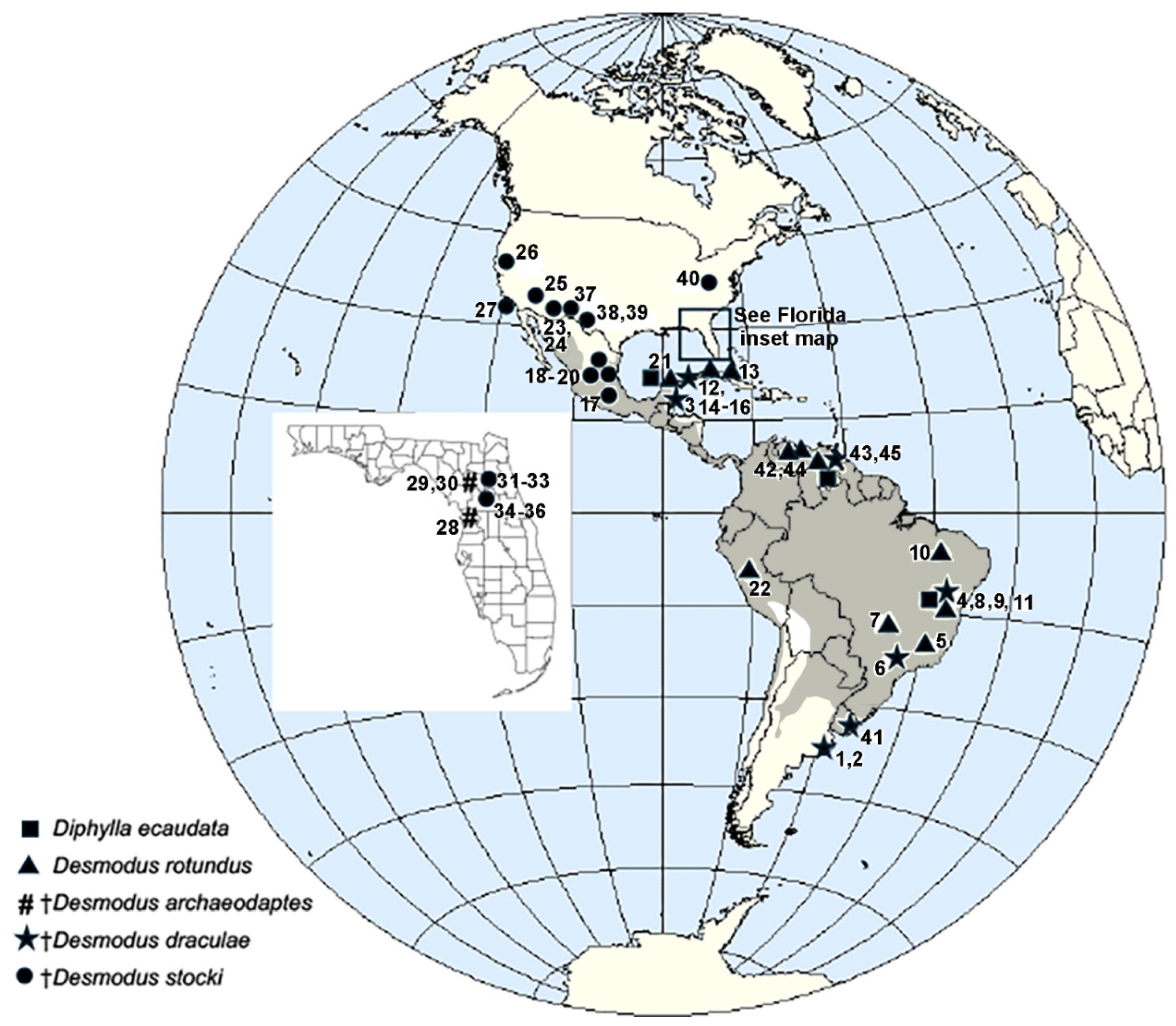 Quaternary 09 00002 g001 Quaternary 09 00002 g001