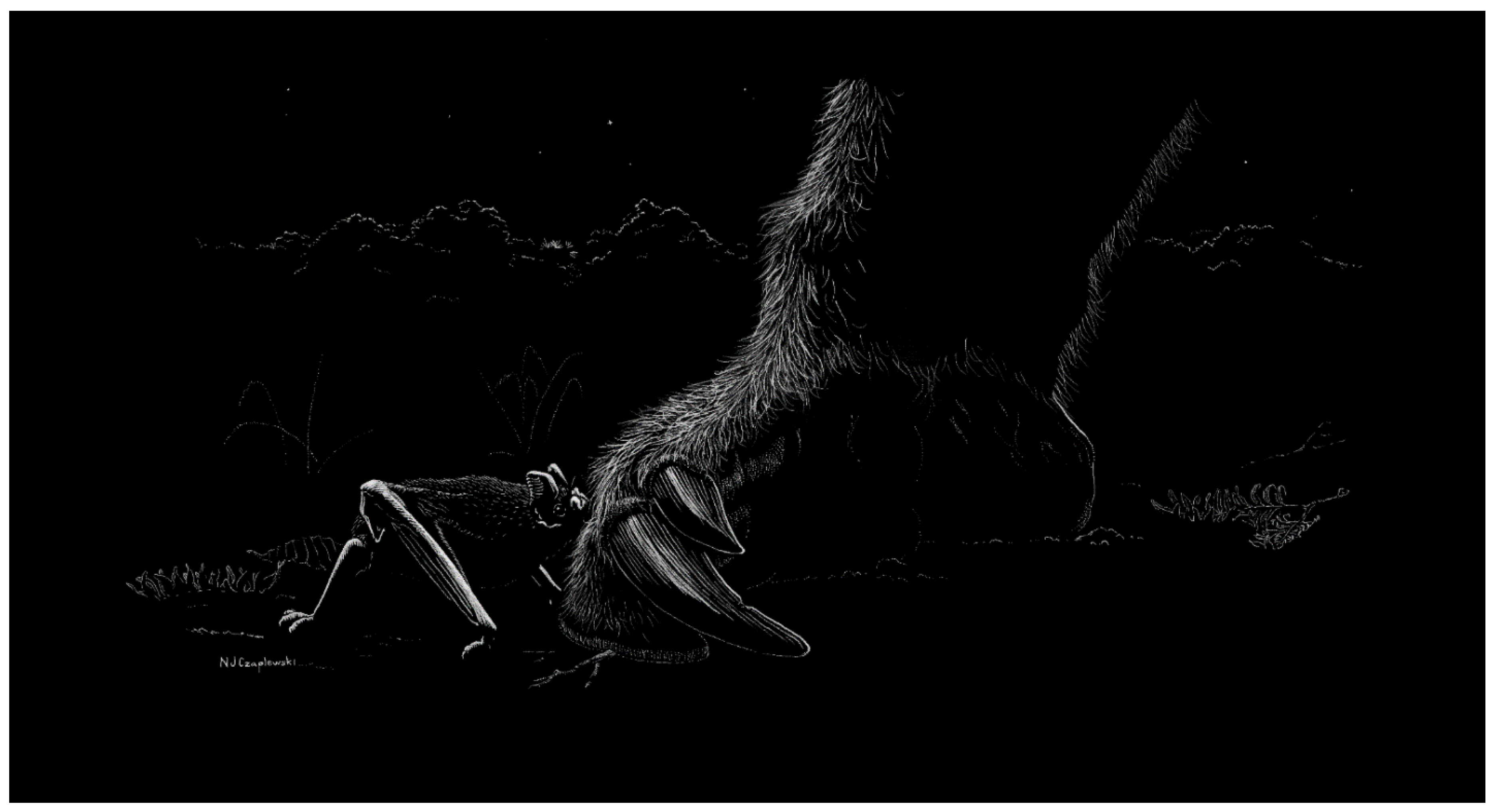 Quaternary 09 00002 g003 Quaternary 09 00002 g003