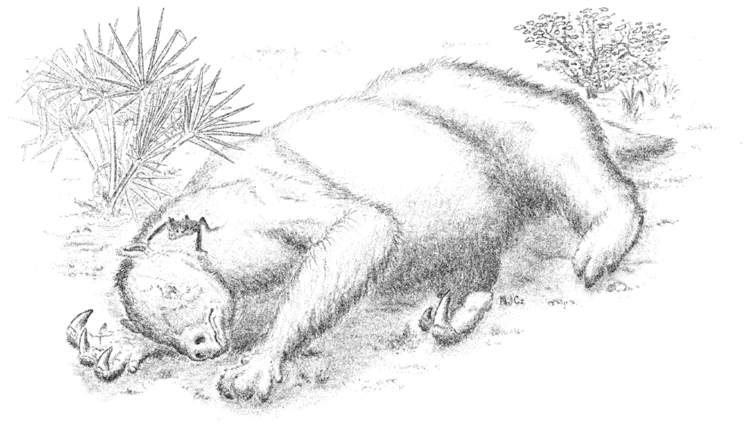 Quaternary 09 00002 g004 Quaternary 09 00002 g004