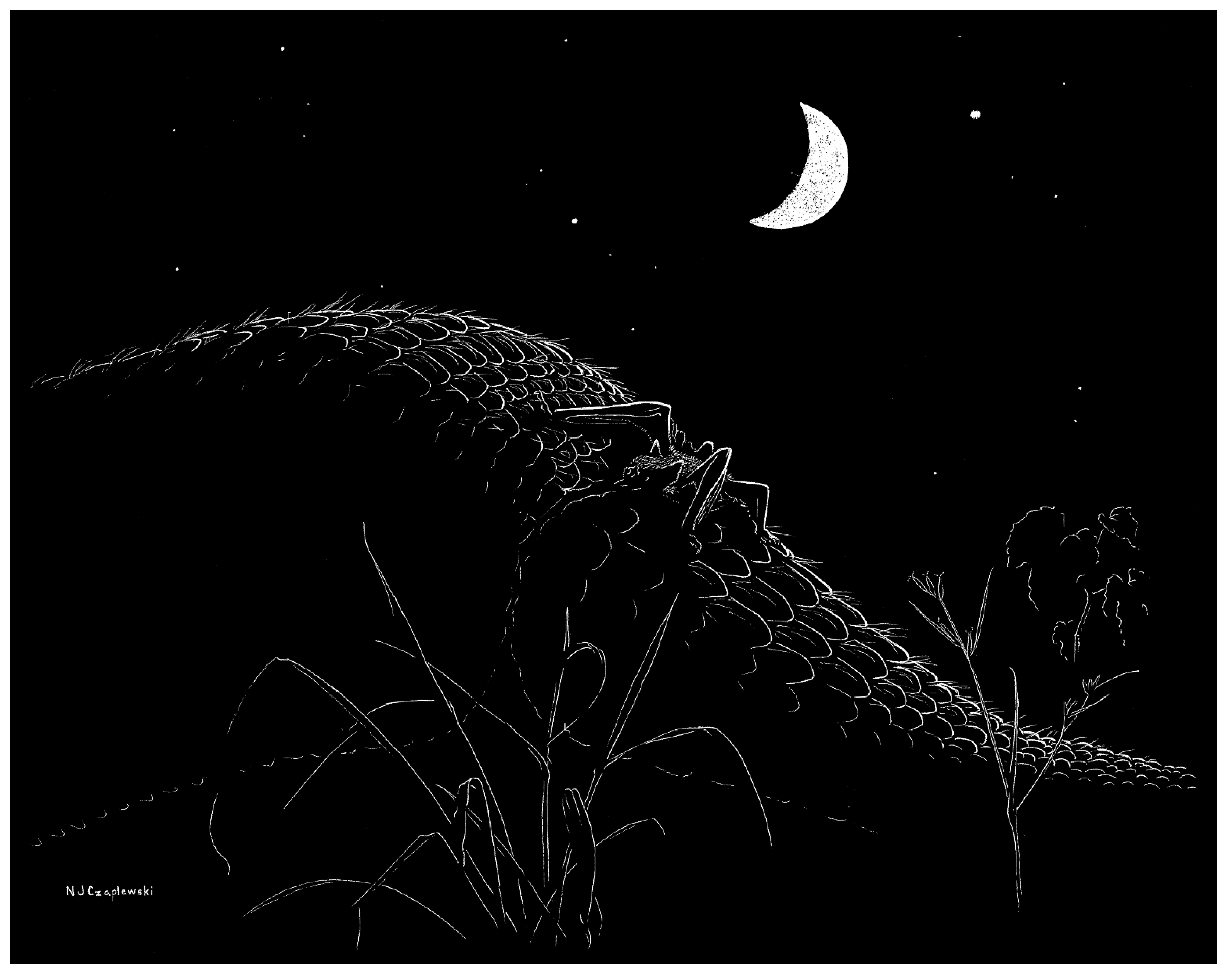 Quaternary 09 00002 g005 Quaternary 09 00002 g005