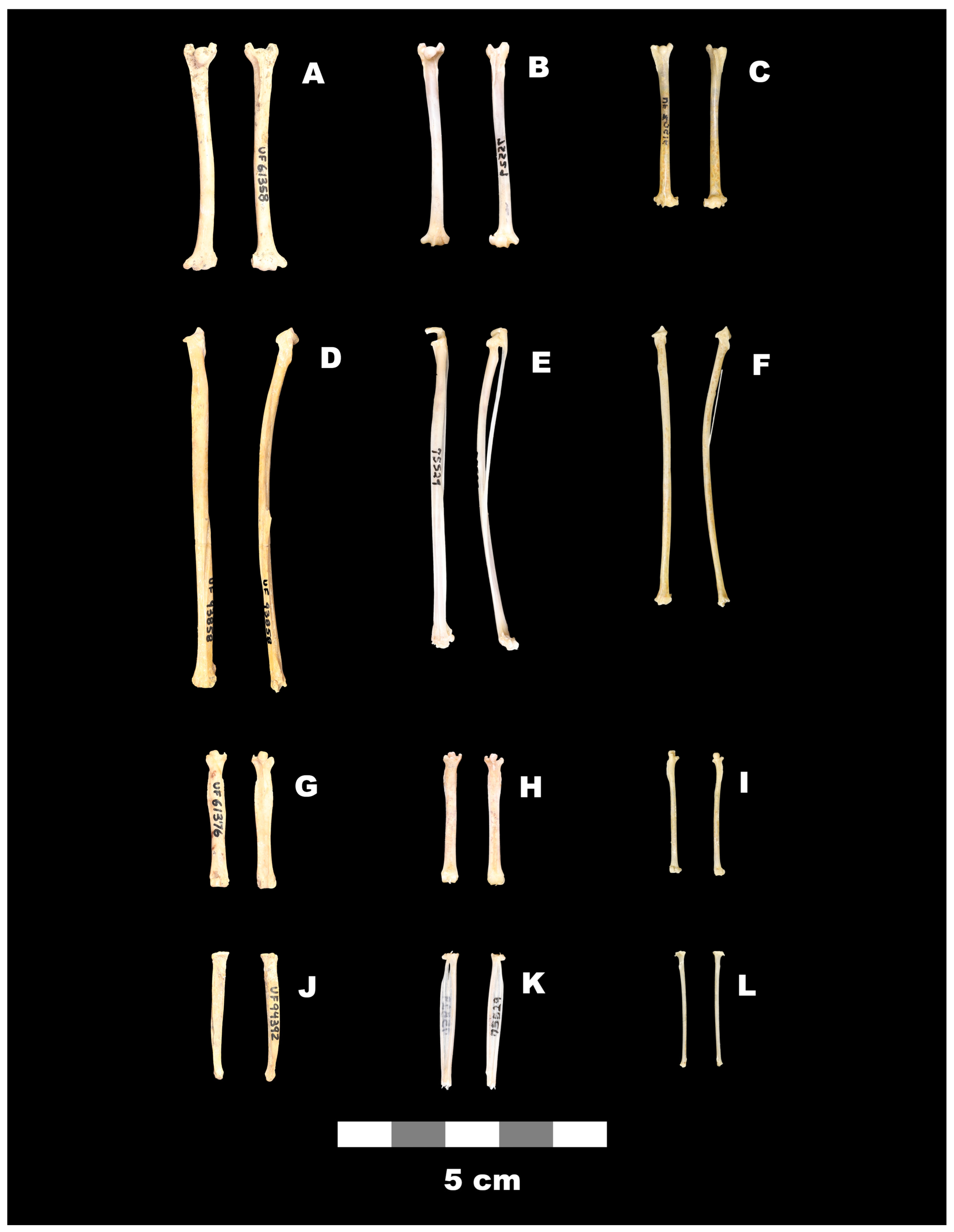 Quaternary 09 00002 g006 Quaternary 09 00002 g006