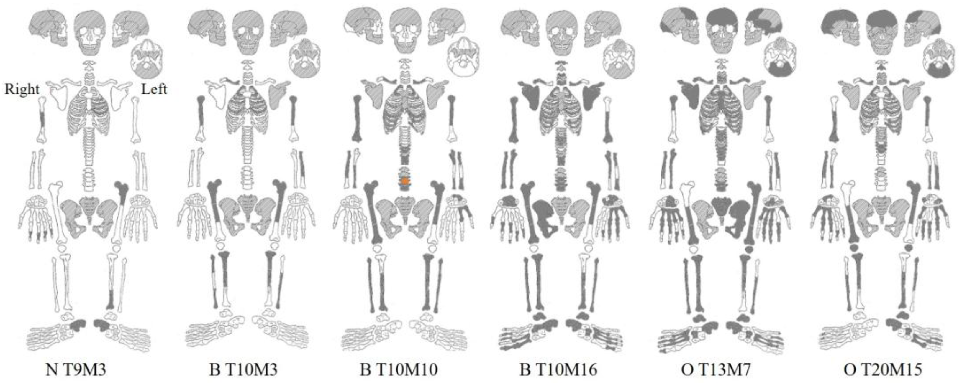 Quaternary 09 00035 g005