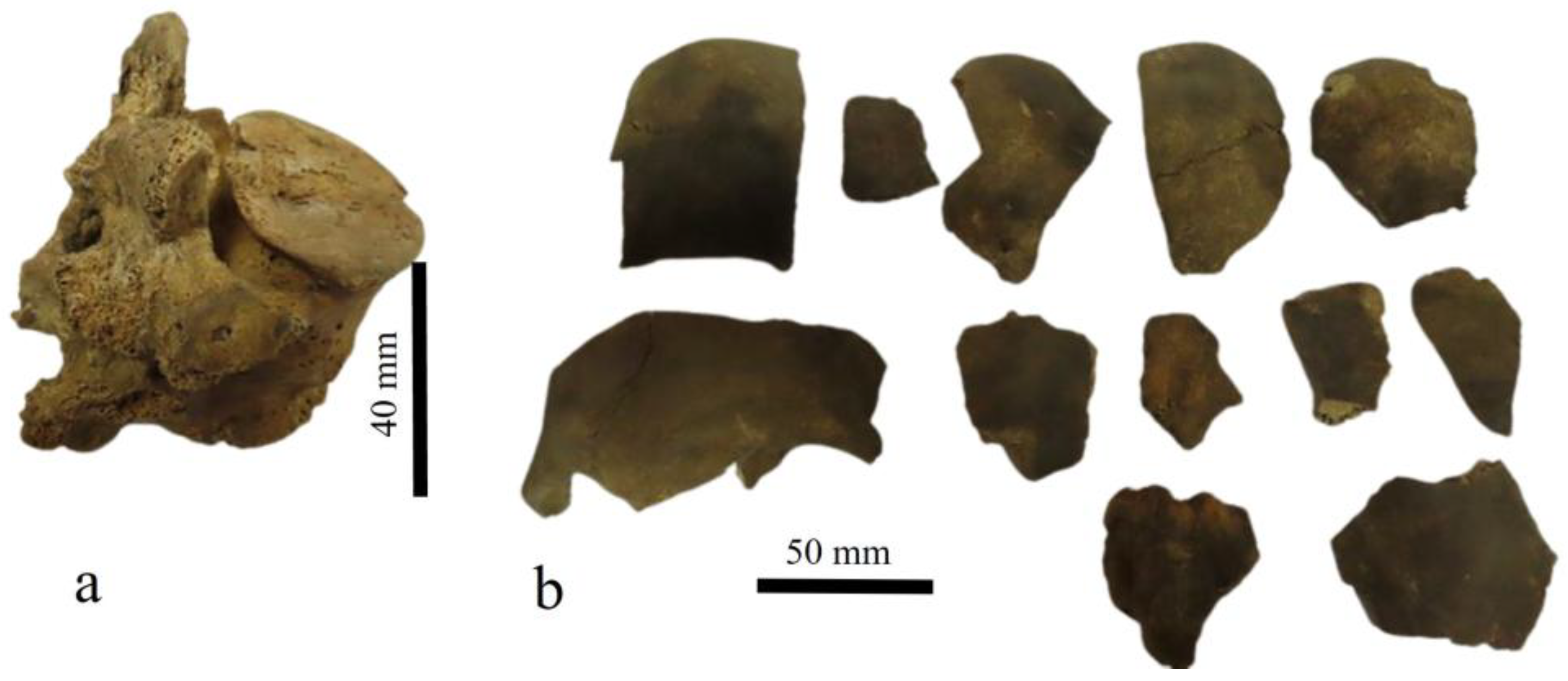 Quaternary 09 00035 g006