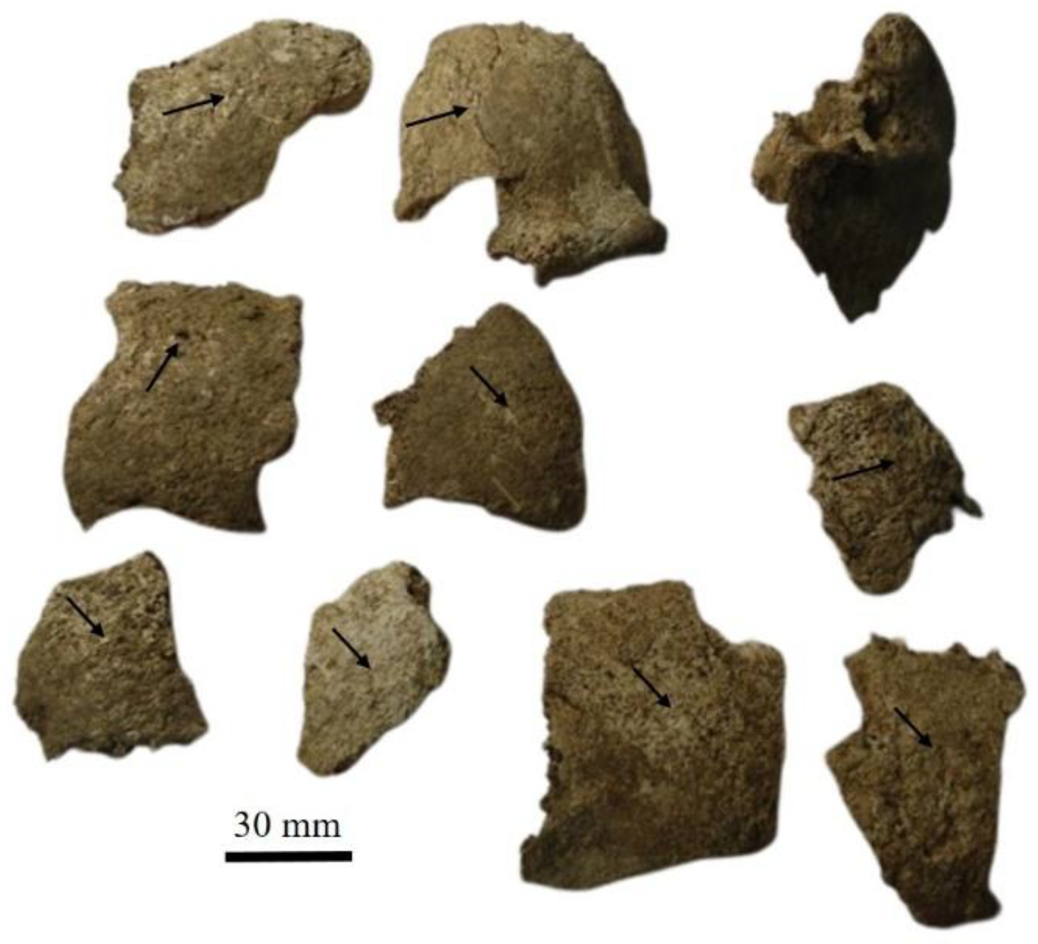 Quaternary 09 00035 g007