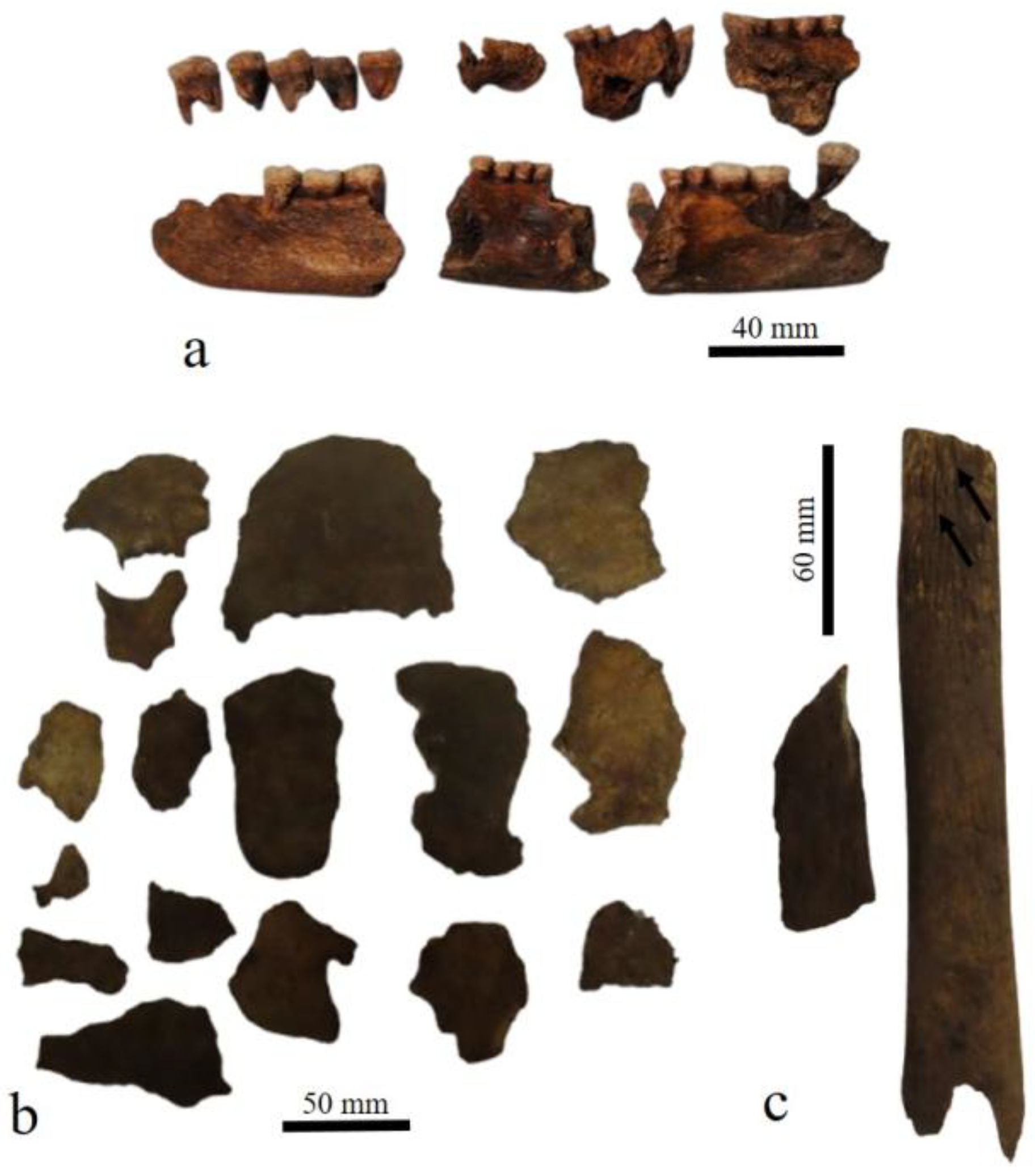 Quaternary 09 00035 g008